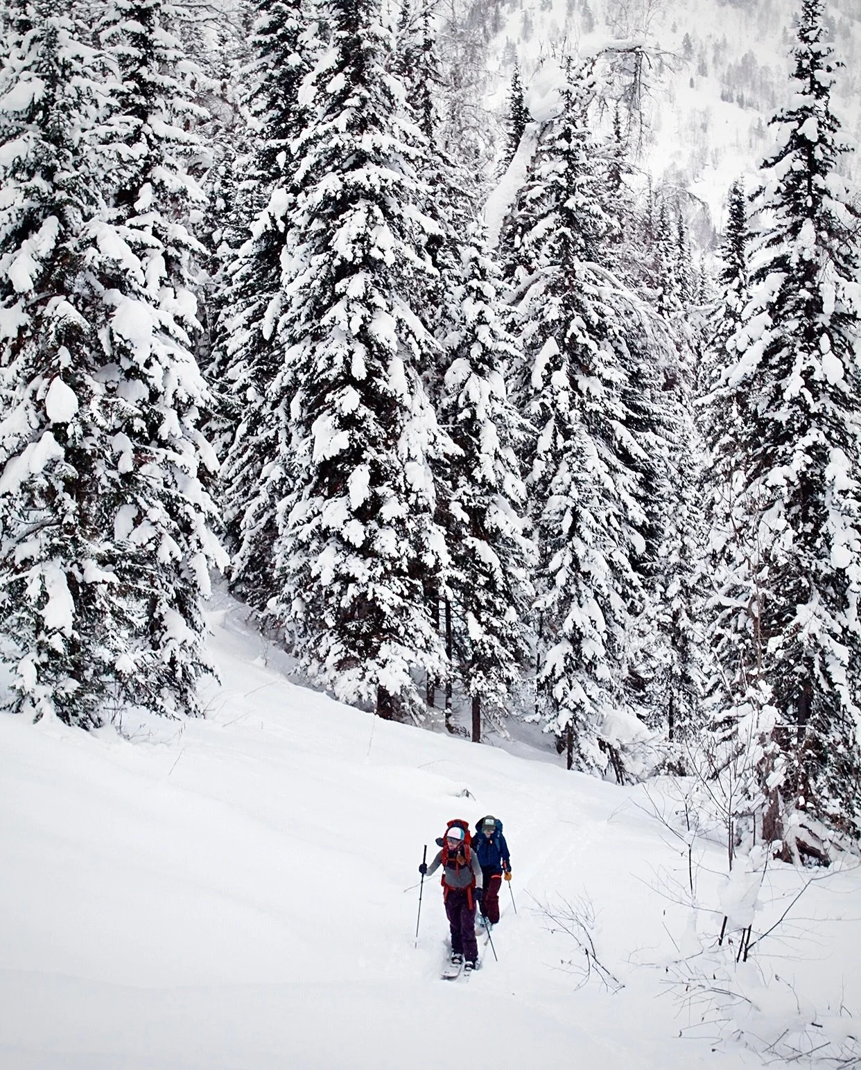 Early January in northeast Kazakhstan 🇰🇿 With all of us coming from mostly snowless places so far this winter, we needed that.

#40tribes #powzakhstan #okaaaayaltaaaai #mysterytrip #amysterytogodowninhistory