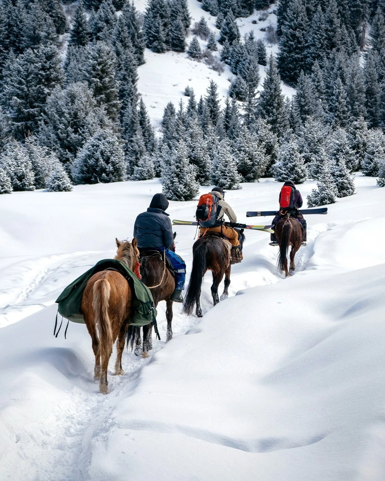 First few days with the WK3 crew have been all time!! Snowmohorse ride to the yurts, welcomed by 10cm fresh, and first tracks the next day on Afternoon Delight 🚀 

#40tribes #kyrpowdertothepeople #season16 #episode3 #afternoondelight

📸 @jacksnapsr