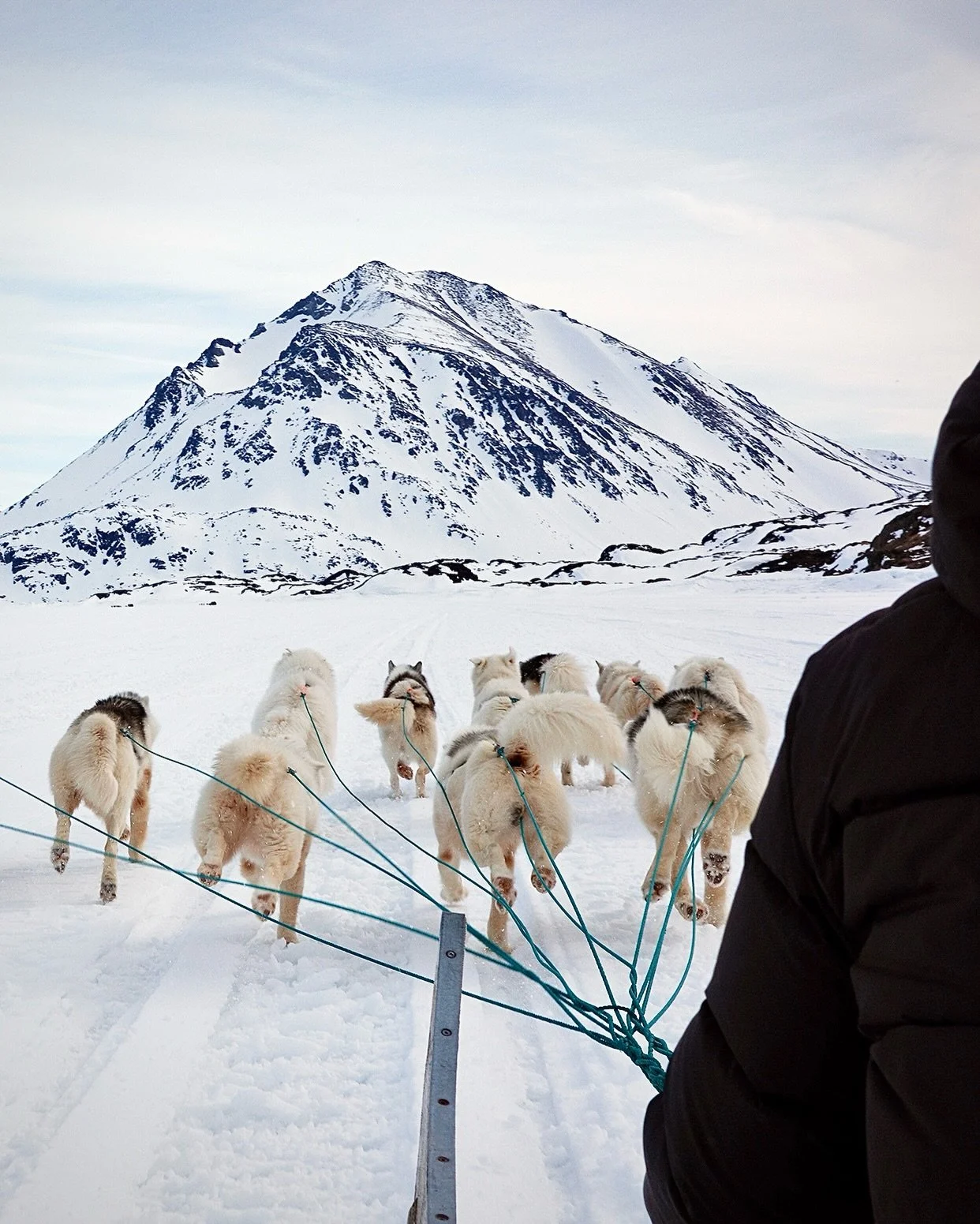 Any trip to East Greenland is an epic one. But this year&rsquo;s&mdash;perhaps our final trip there&mdash;may have been the most epic. On the day of our intended arrival, the foggy beginnings of a spring storm kept our prop plane circling, eventually