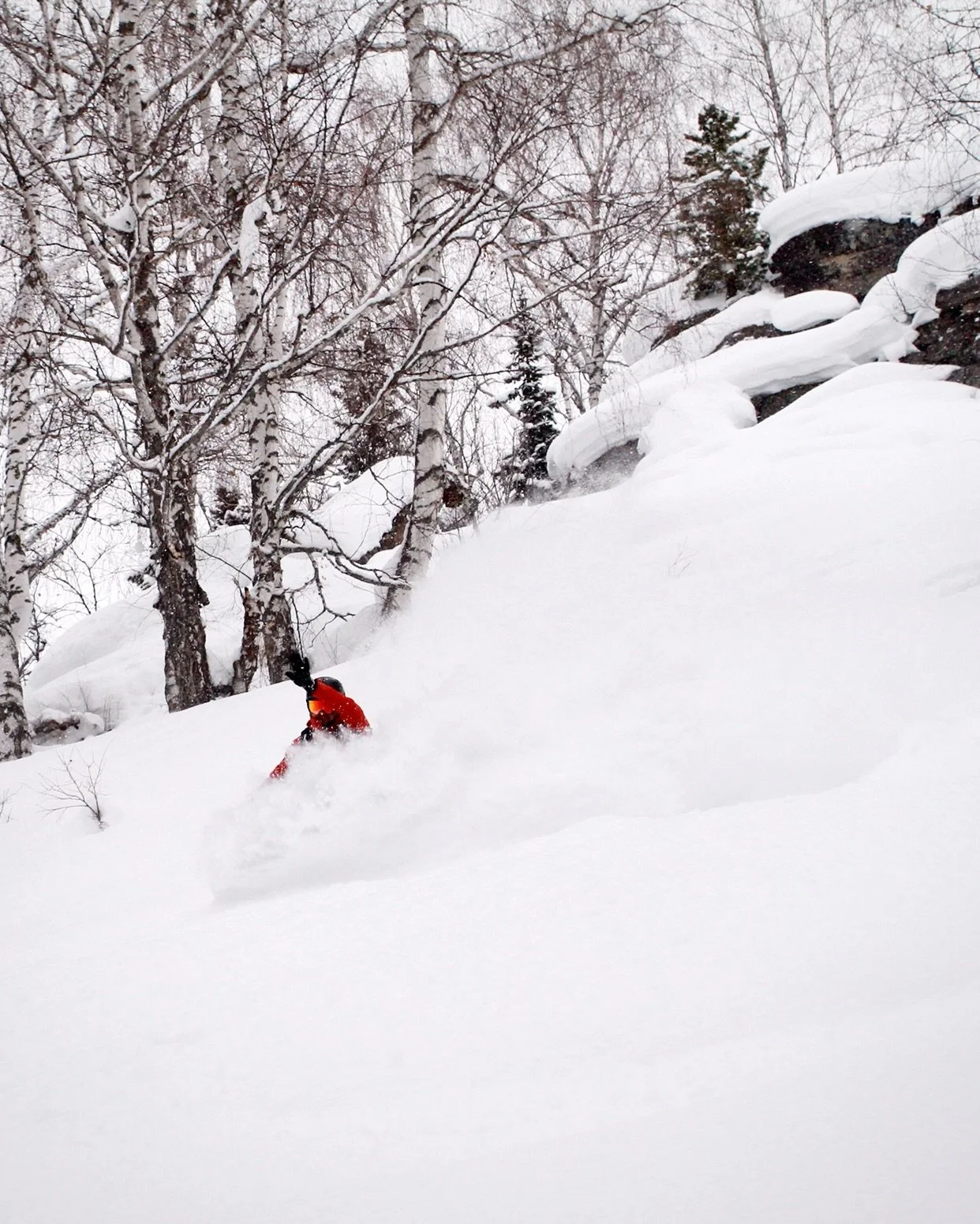 Not Japan. Kazakhstan 🇰🇿 Join us in December to kick off your season with a BANG. We&rsquo;re talking about reliable early season pow, perfect birch forests, traditional lodging (but upped on the luxury scale), incredible food, and daily sweats in 