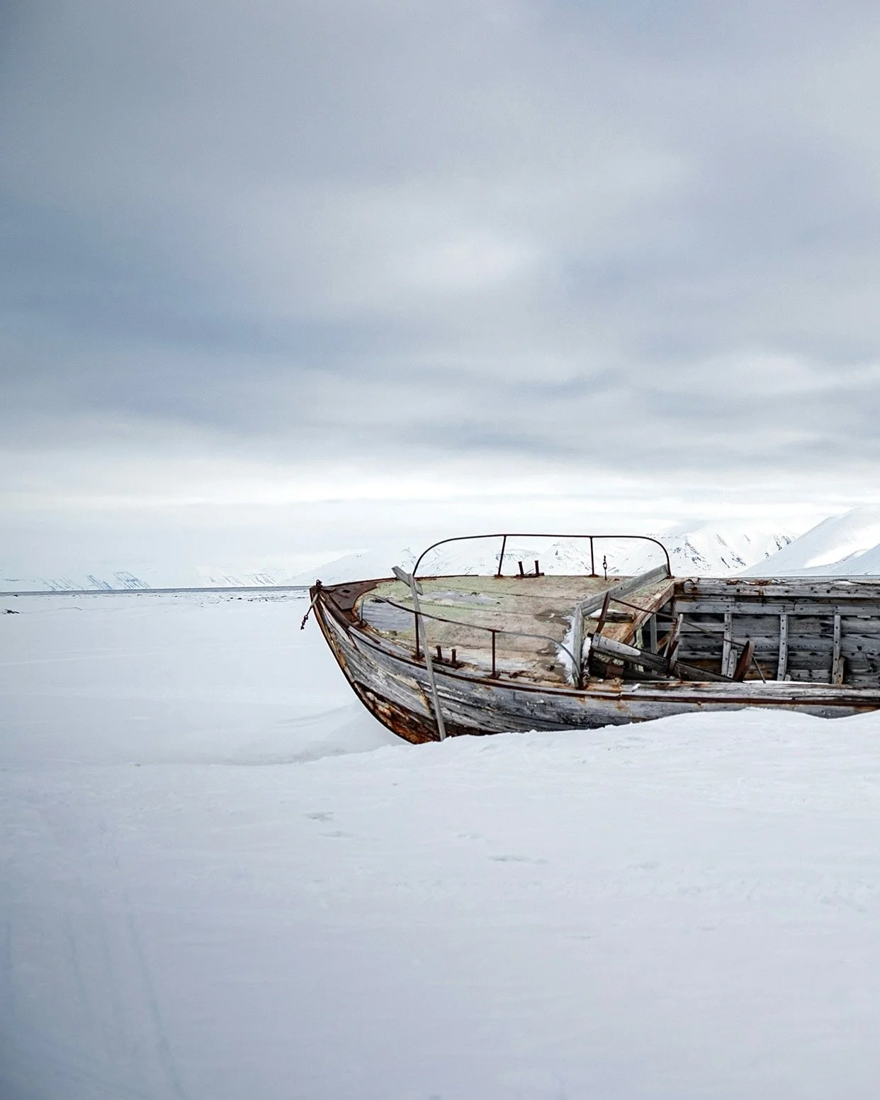We&rsquo;re not skimping on the boat for our first ever sea-based expedition. We&rsquo;ve chartered one of the most spacious and elegant expedition ships in service! The Finnish-built, completely refurbished vessel features a saloon, dining room, lou