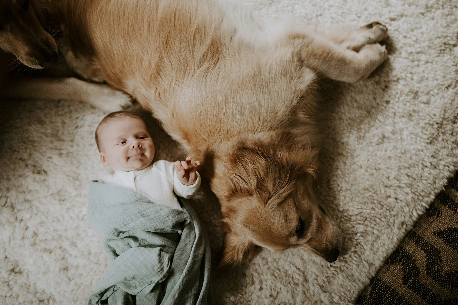 Best Outfits for a Newborn Session