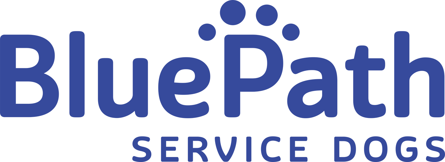 BluePath_Logotype_Spot_CMYK_small.png