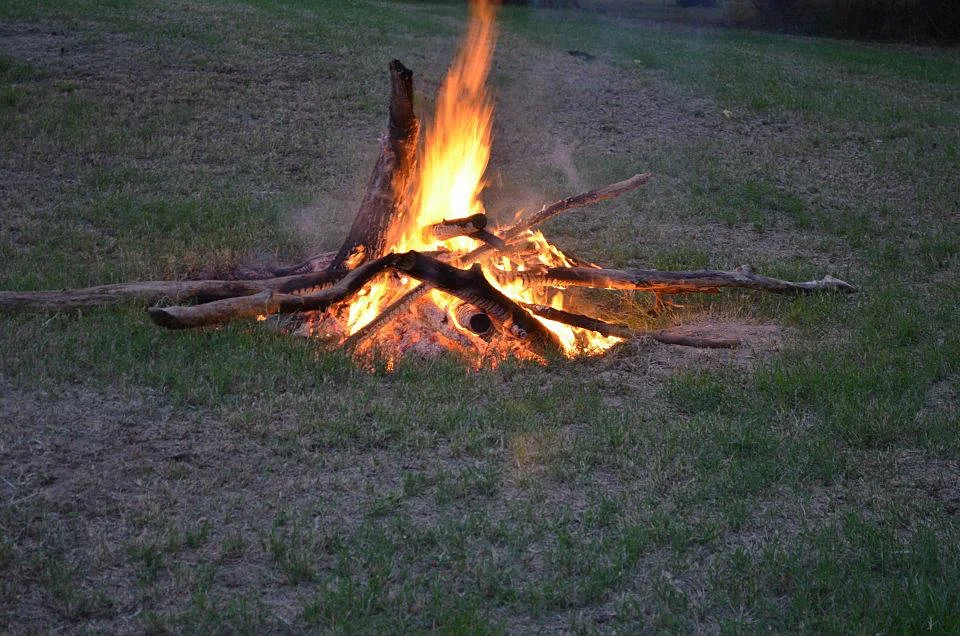 Bee Mountain Resort photo 3