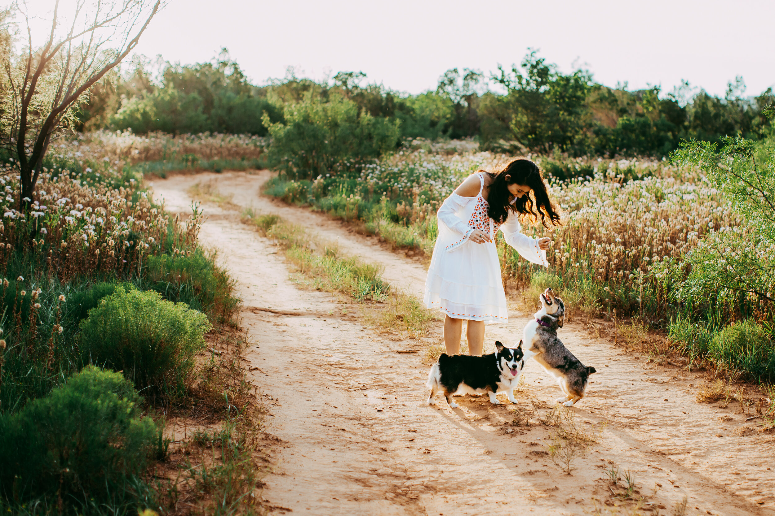 Playing with the puppies as they walked down a dirt path #tealawardphotography #texasphotographer #amarillophotography #amarillophotographer #lifestylephotography #emotionalphotography #photoshoot #family #puppylove #purejoy #puppyphotos #lifestyleinteraction