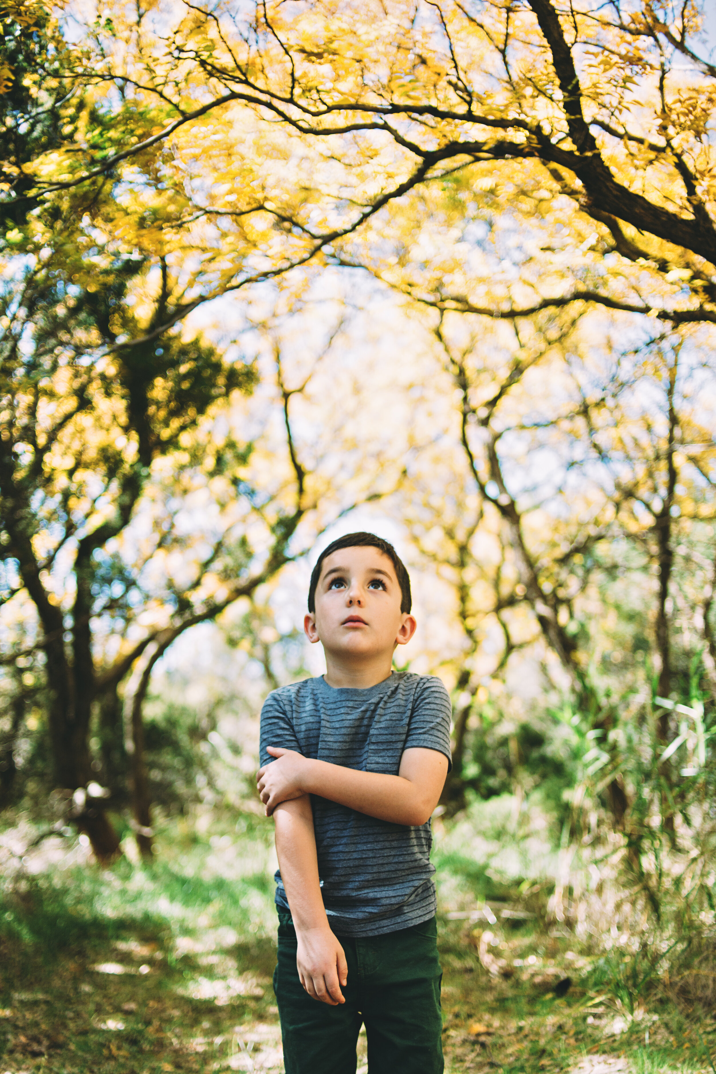  The beautiful combination of green and yellow as the seasons begin to change as a backdrop for this pensive little boy #tealawardphotography #texasfamilyphotographer #amarillophotographer #amarillofamilyphotographer #lifestylephotography #fallphotos #familyphotoshoot #family #lovingsiblings #photographytips #familyphotos #naturalfamilyinteraction 