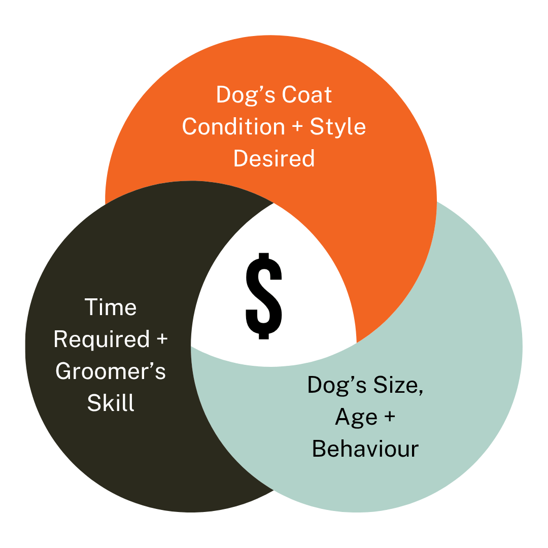 Dog Grooming Prices Seddon | What Affects Your Dog’s Groom Cost ...
