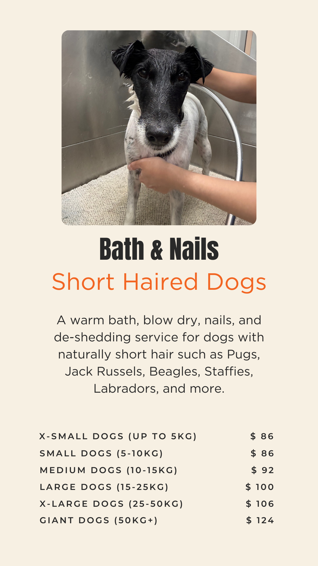doggy dooz pricing bath and nails.png