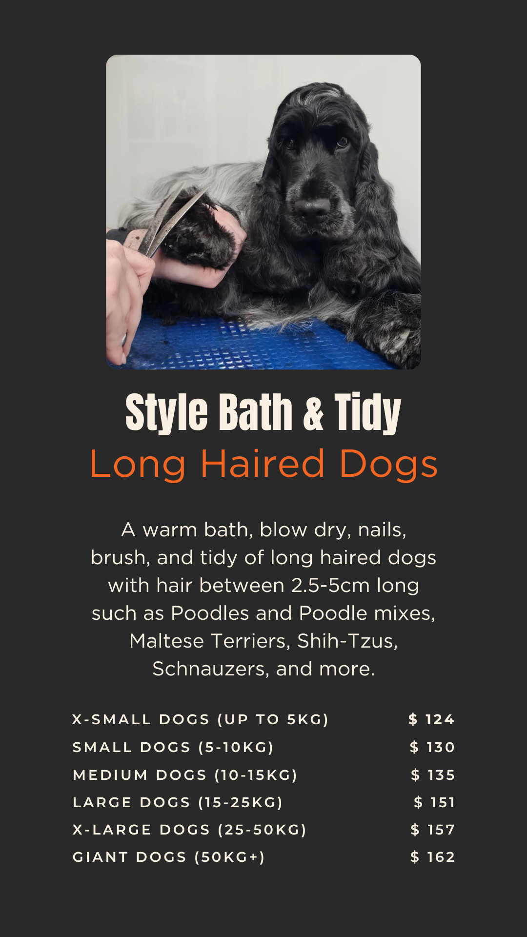 doggy dooz pricing sttyle bath and tidy.png