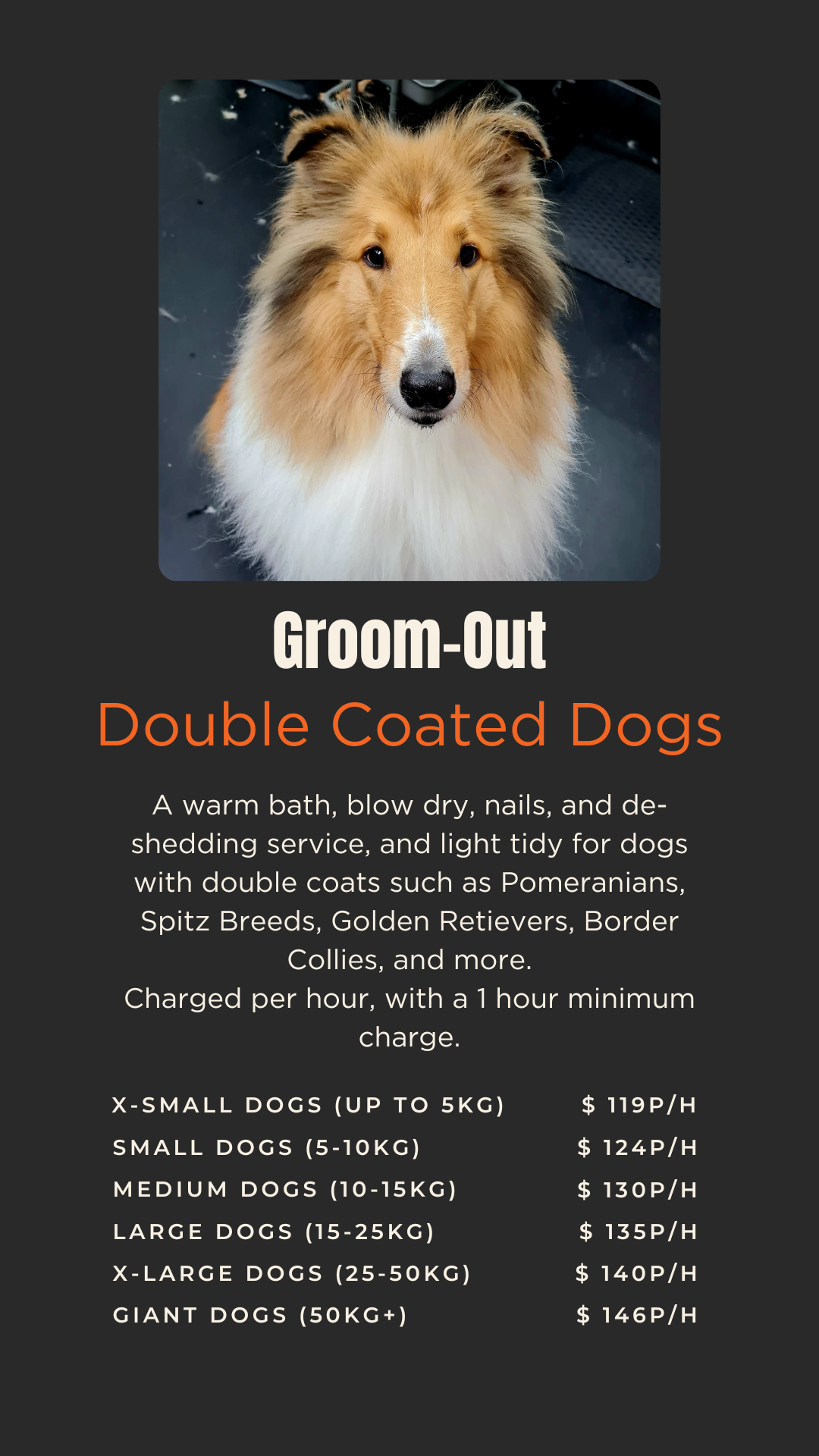 doggy dooz pricing groomout.png