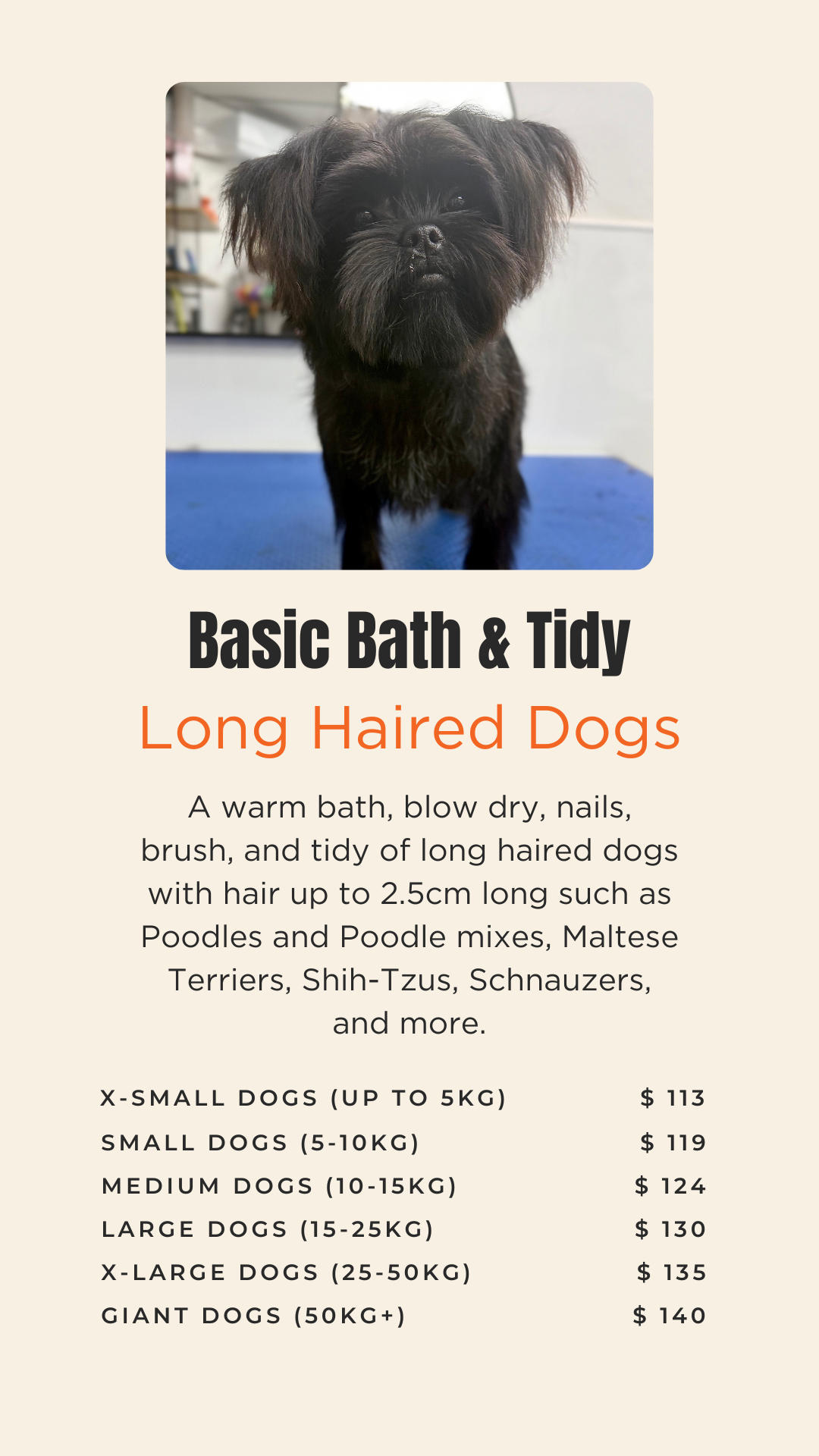 doggy dooz pricing basic bath and tidy.png