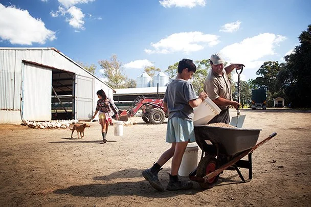   Country Life  / Australia 