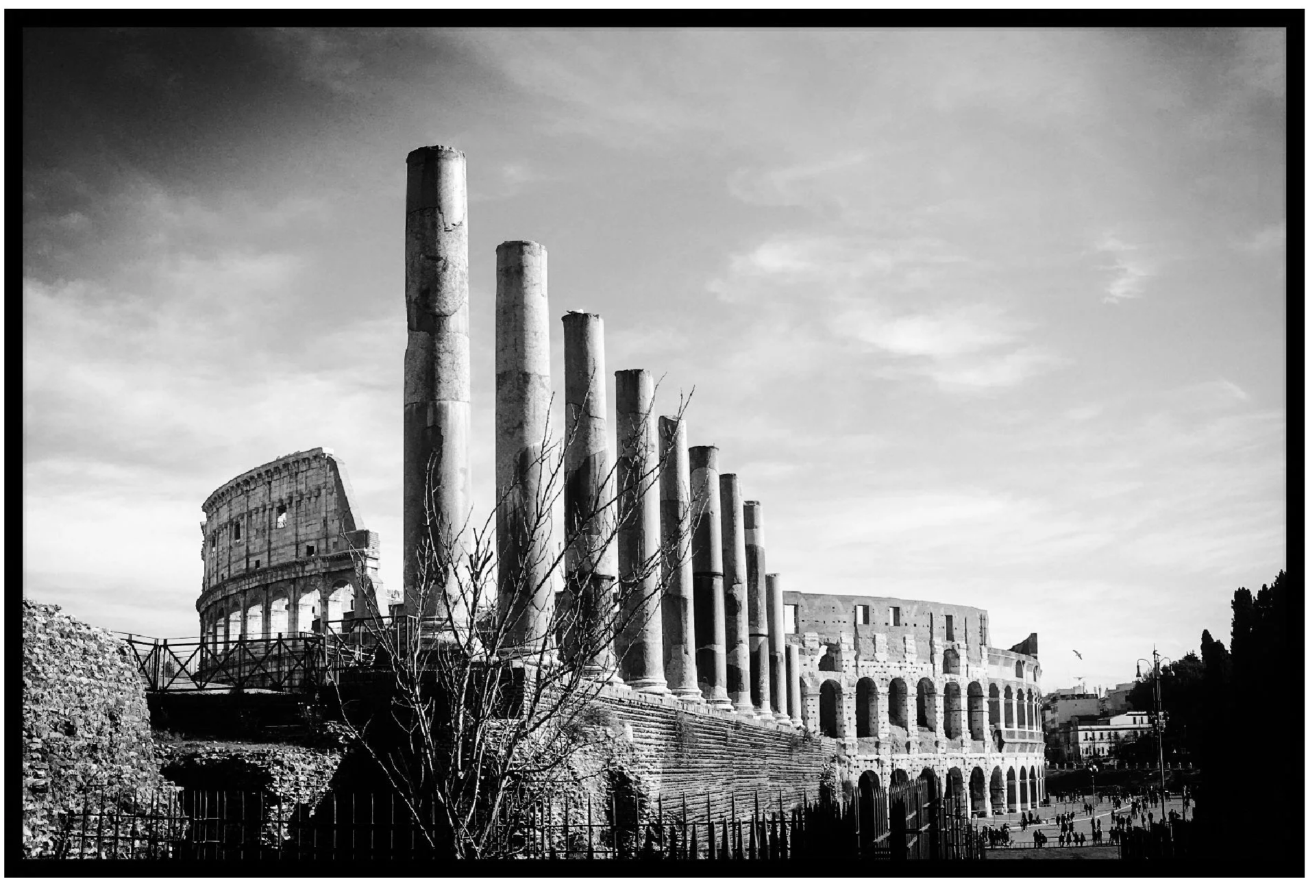   Roma  