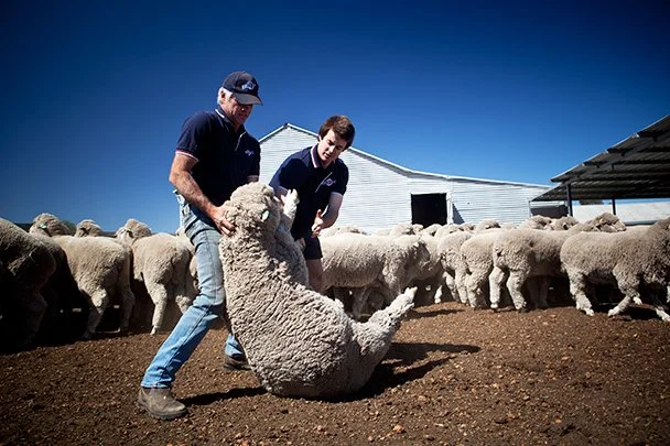   Country Life  / Australia 