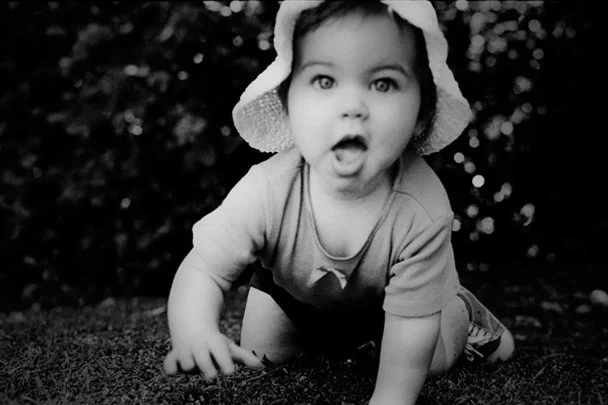   Hestea  / Precious Moments 