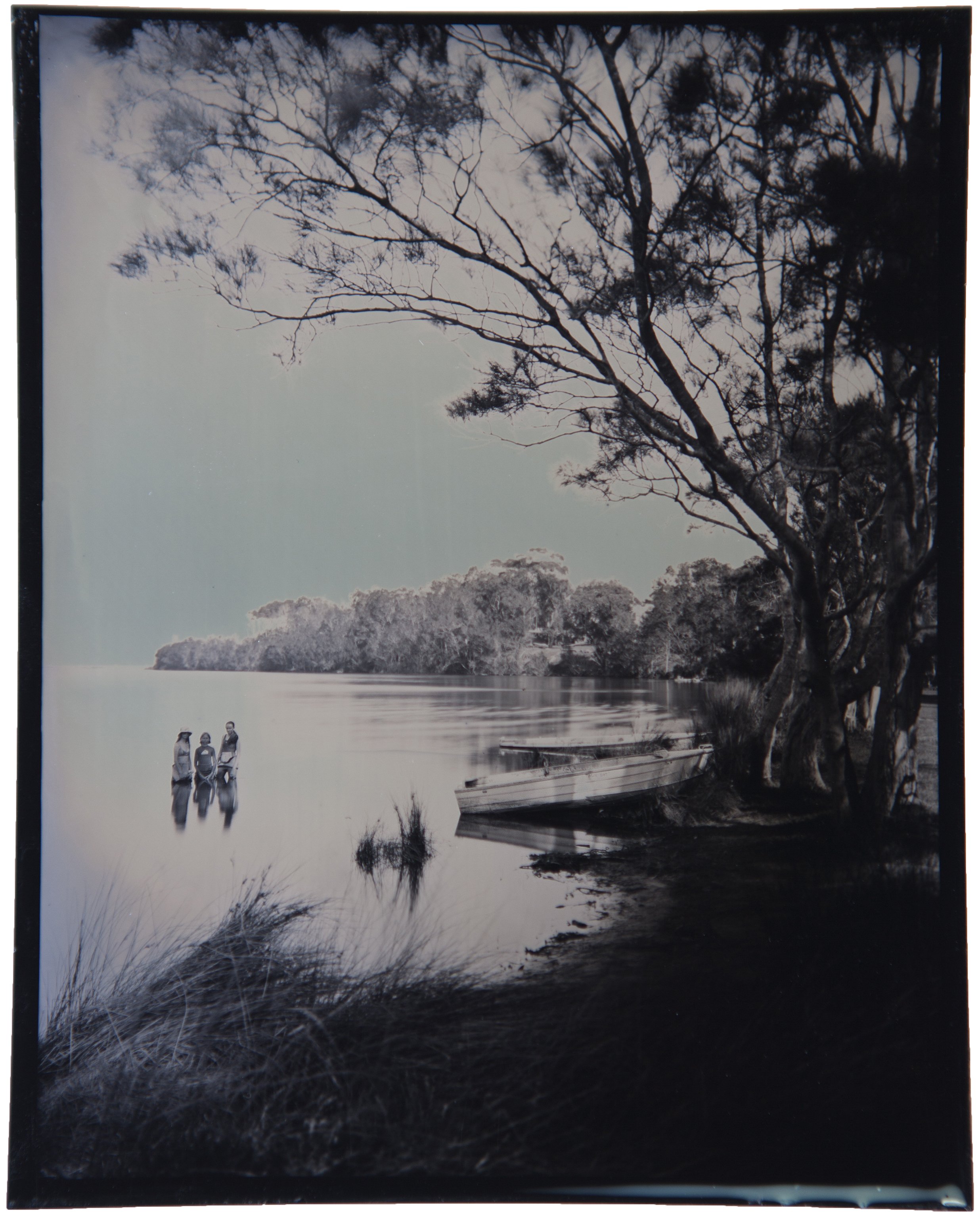   Berrara Creek. NSW  / 5x4 Tintype 