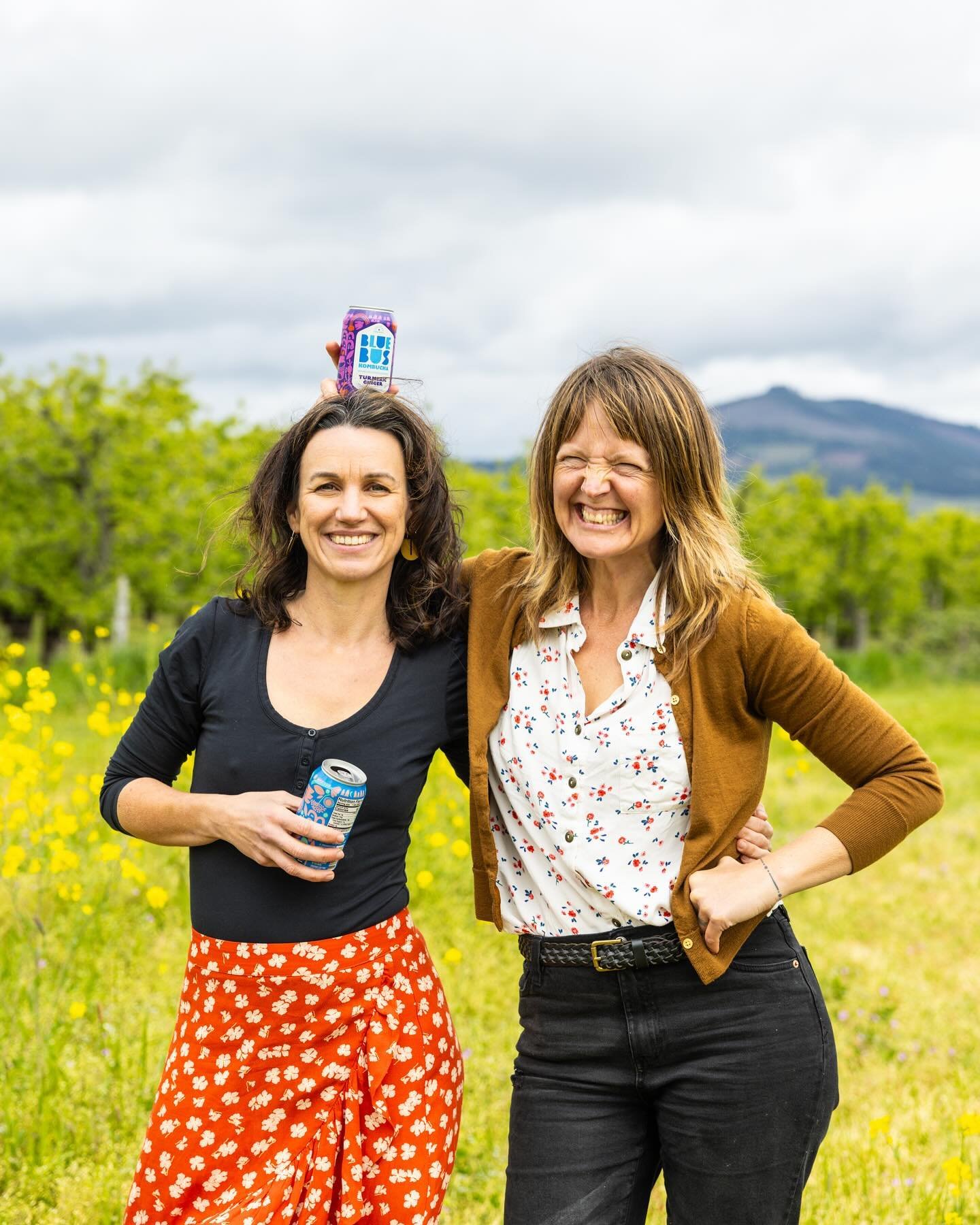 HAPPY Tuesday, to whoever needs a smile!!
&hearts;️&hearts;️&hearts;️
#bluebuskombucha @kellytursophoto