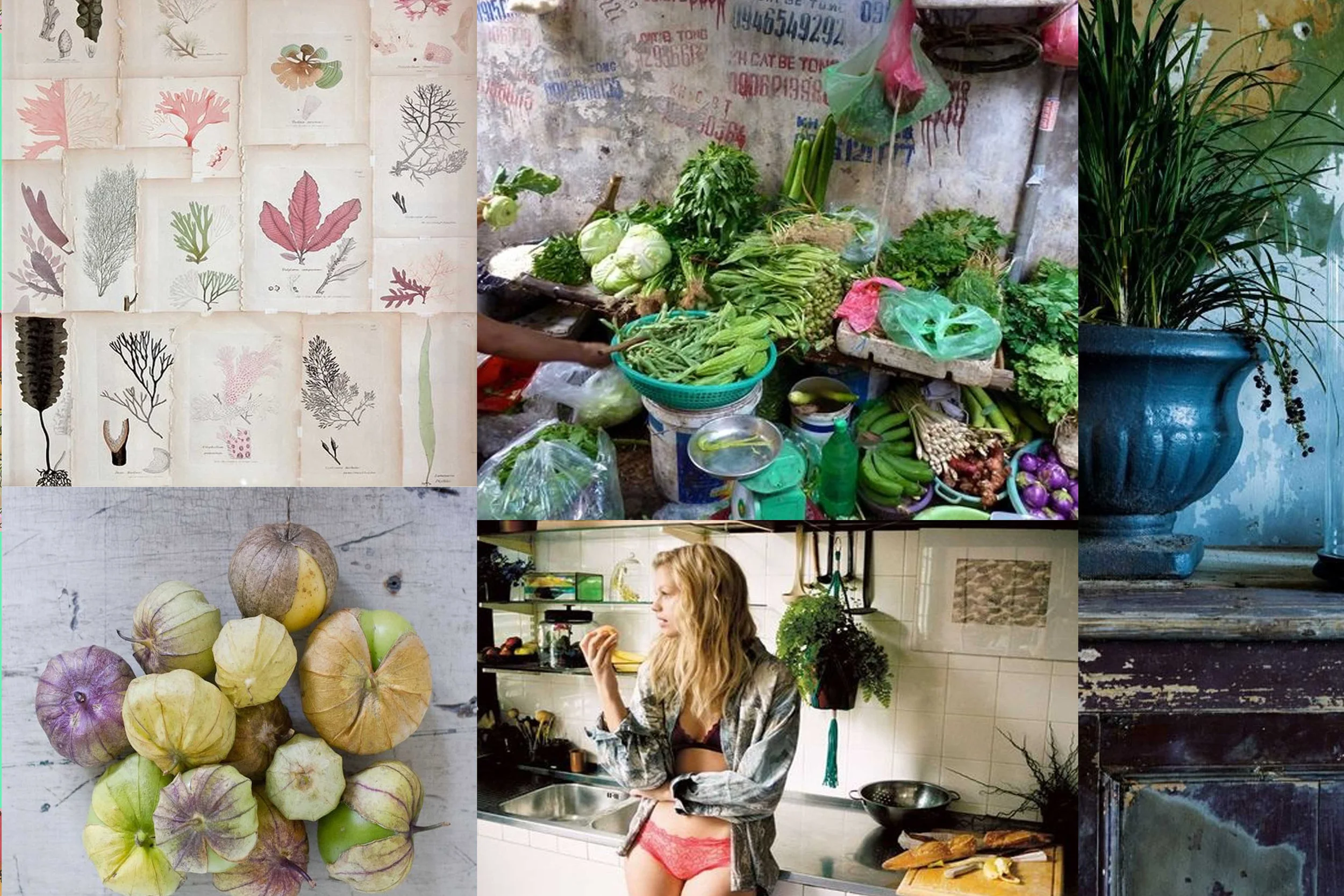 Global Traveler Mood Board.jpg