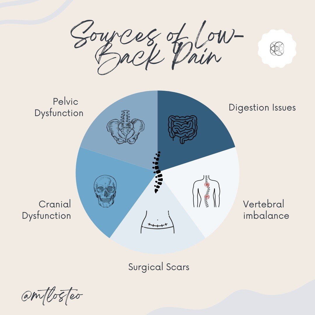 One of the top reasons people consult in Osteopathy is for Low-Back Pain (LBP)...and to many's surprise, the root cause is not always what one would expect! Starting to notice a trend here 🤪?
Let's dive into the possible reasons why you could be exp