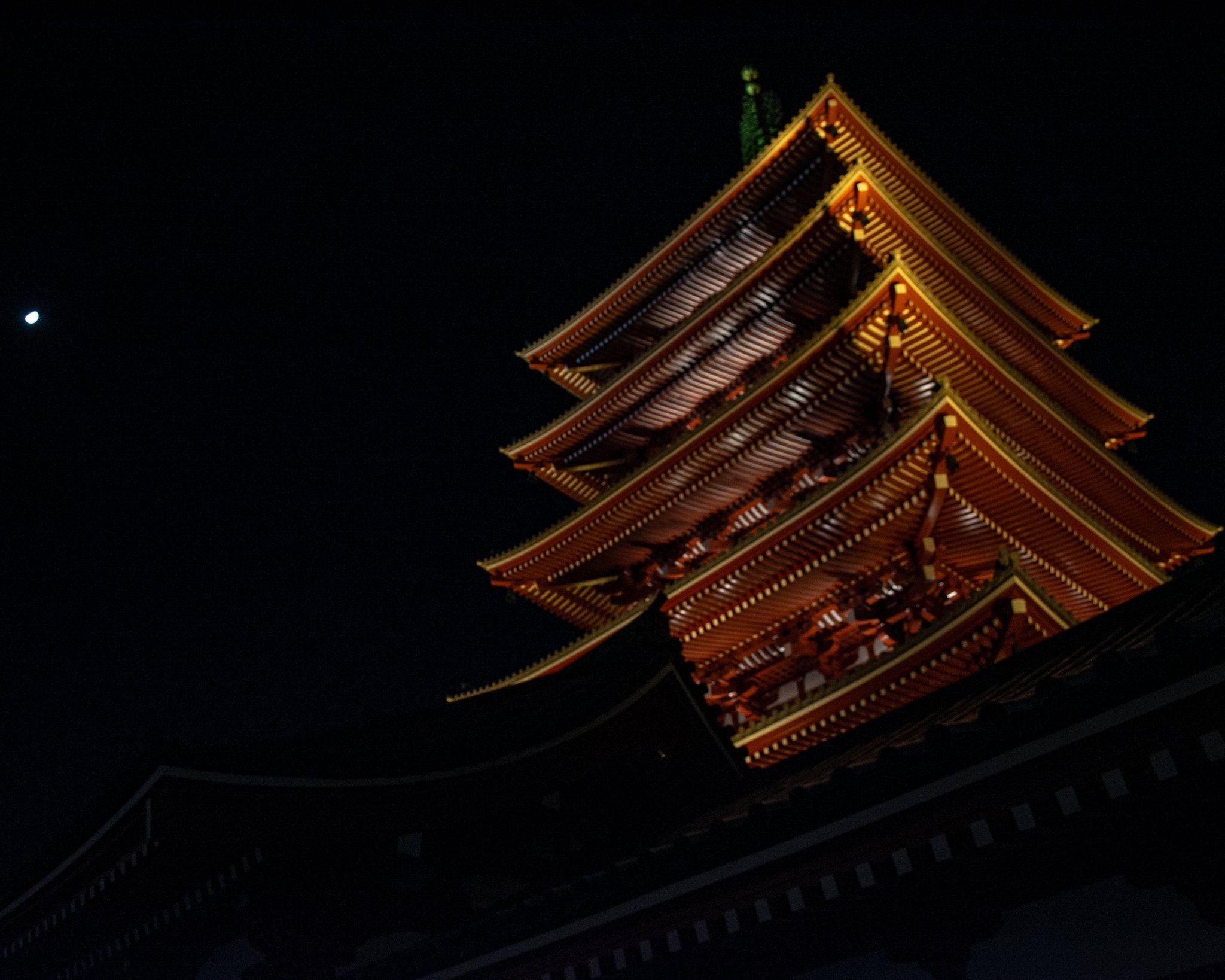 DSC_3288.jpeg