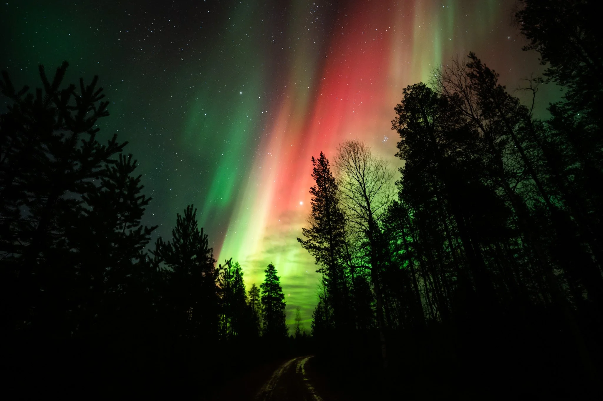 Aurora Borealis, Finland