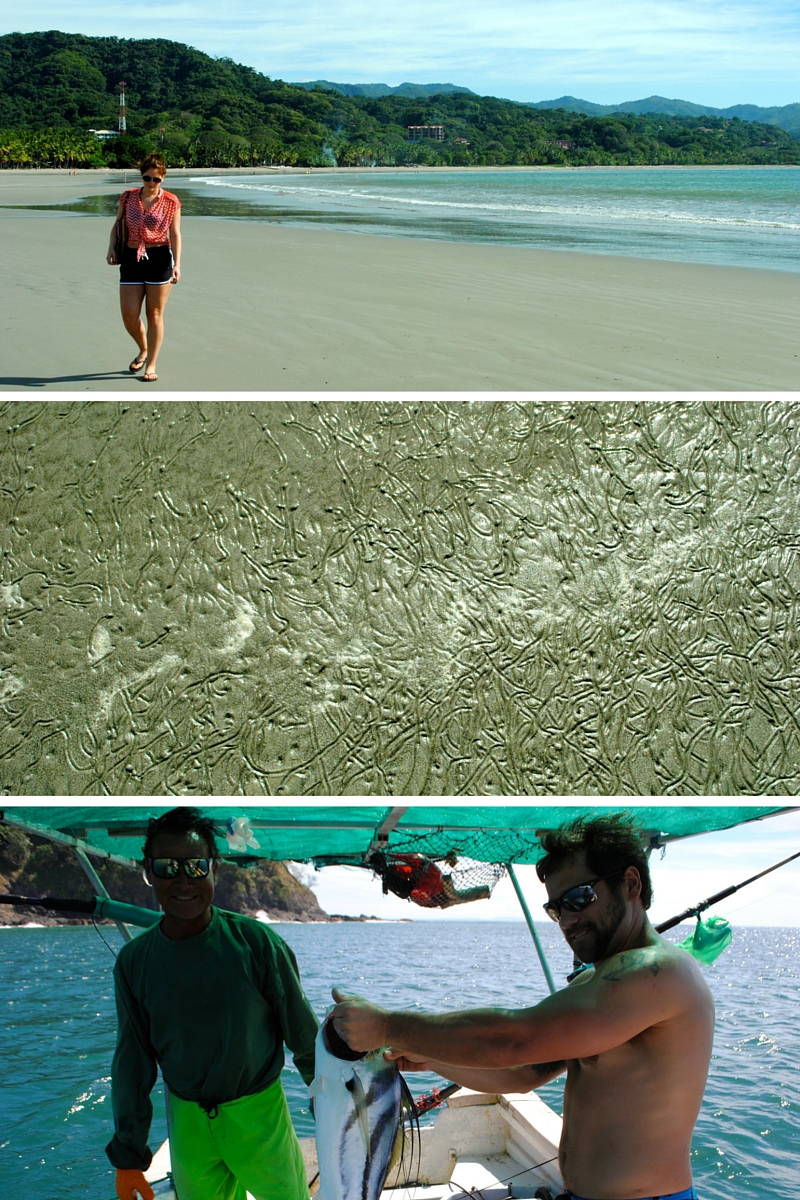 Early morning walks to the beach, busy sand snails and catching a tasty rooster fish!