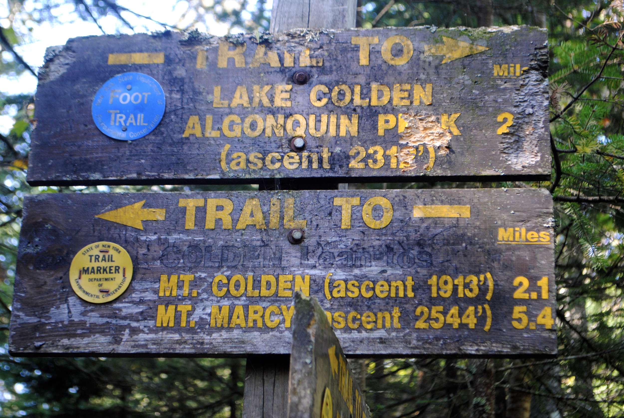 "Only 2 miles left until Mount Colden!" - Hold the excitement, we are going 1900 feet up!