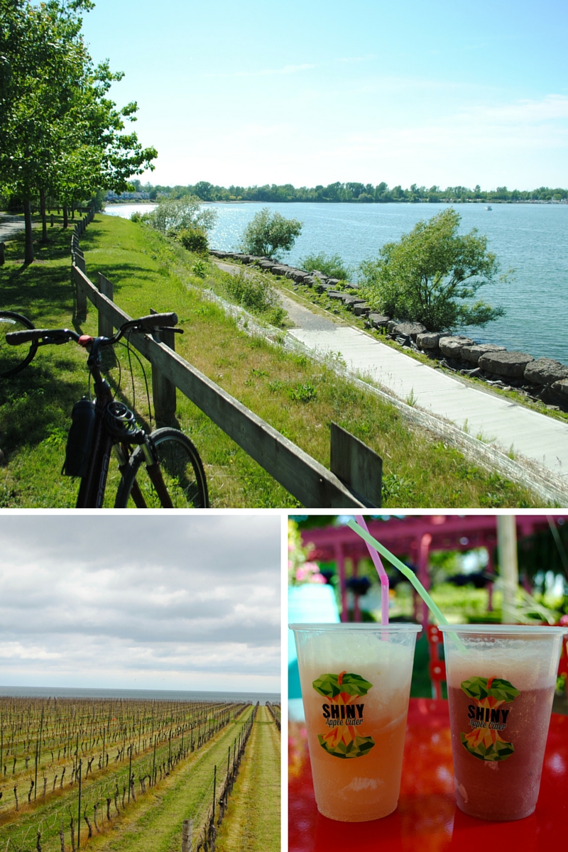 Bicycle adventures in Niagara-on-the-Lake - stumbled upon some Shiny Apple Cider floats at Small Talk vineyard, so delicious!