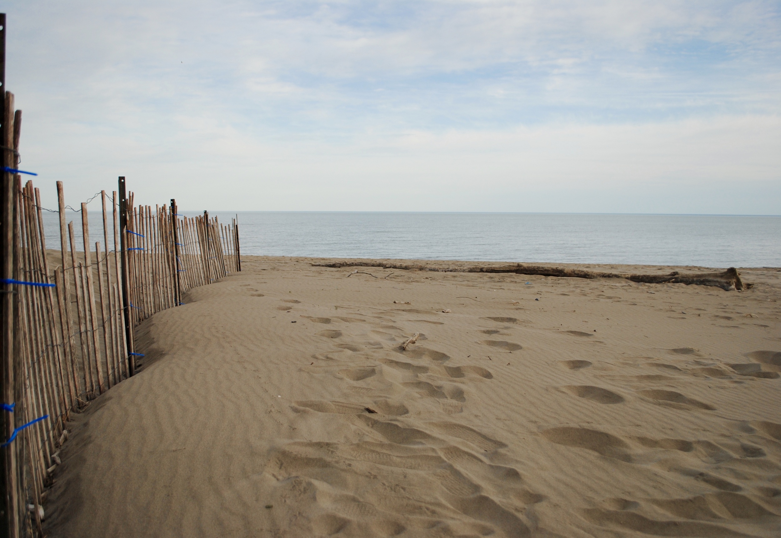 Long Point Provincial Park - hard to believe this incredible beach is less than 2 hours from home!