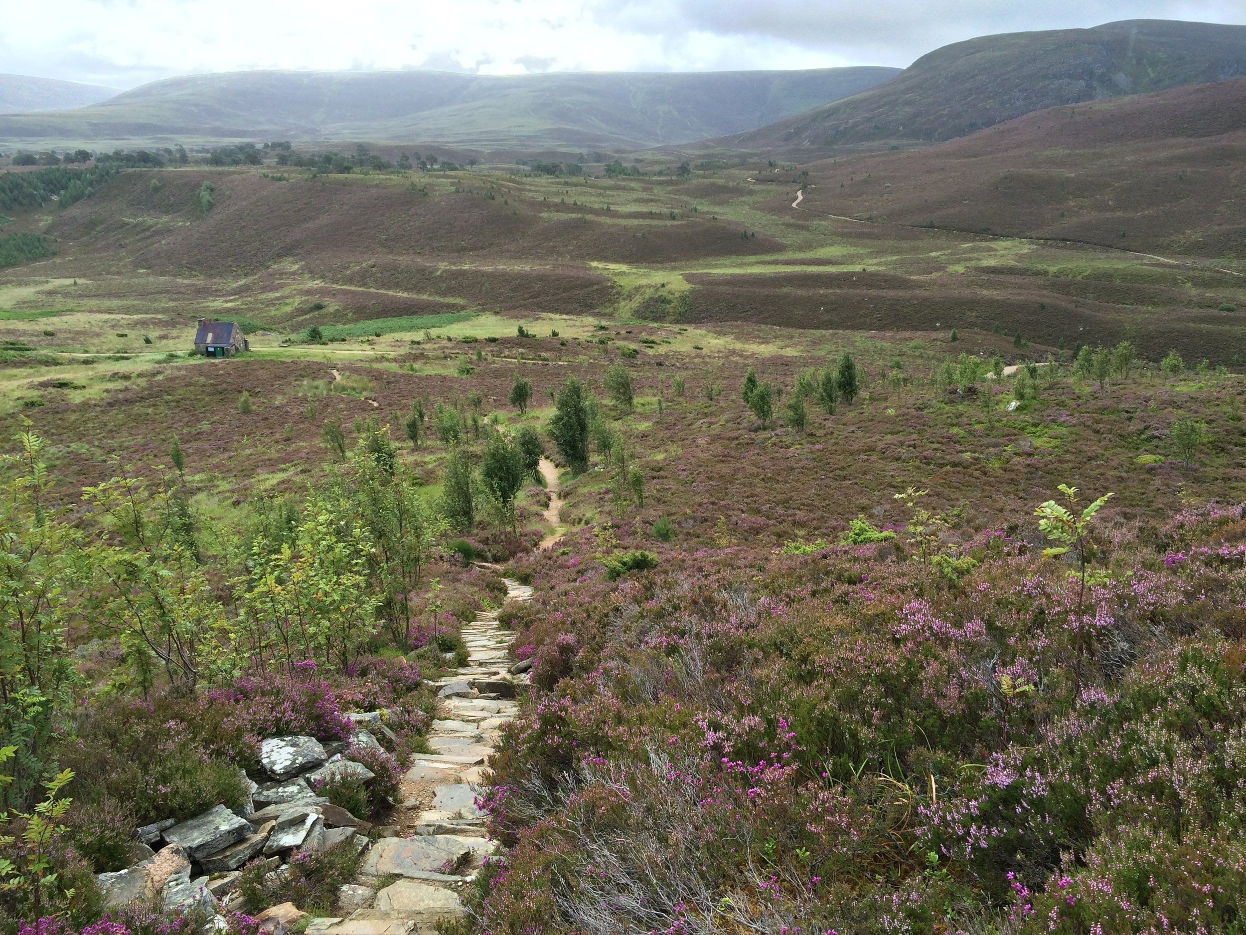 Hiking in Cairngorms National Park
