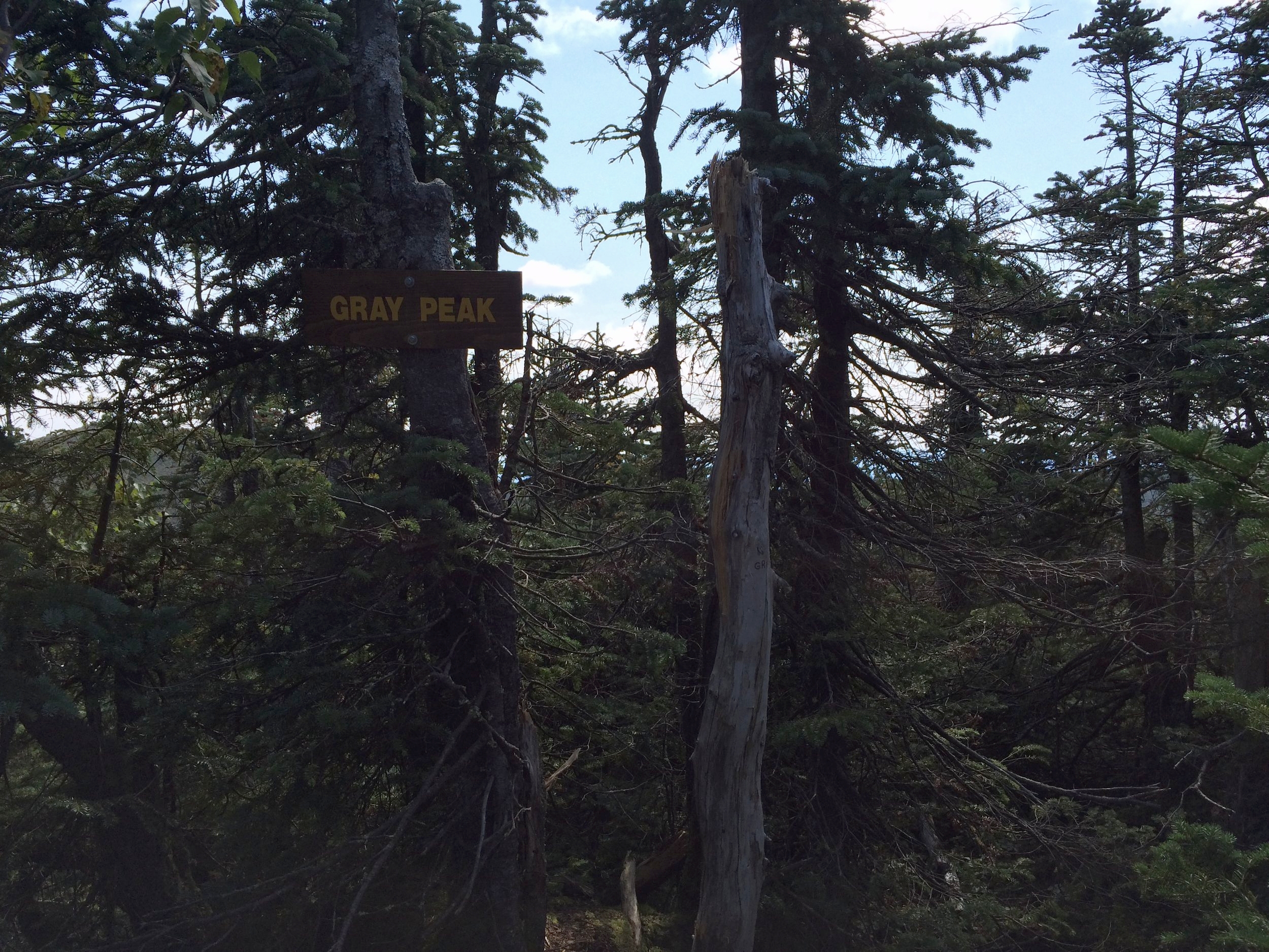 The view from Gray Peak... sorry folks, that's all there is!