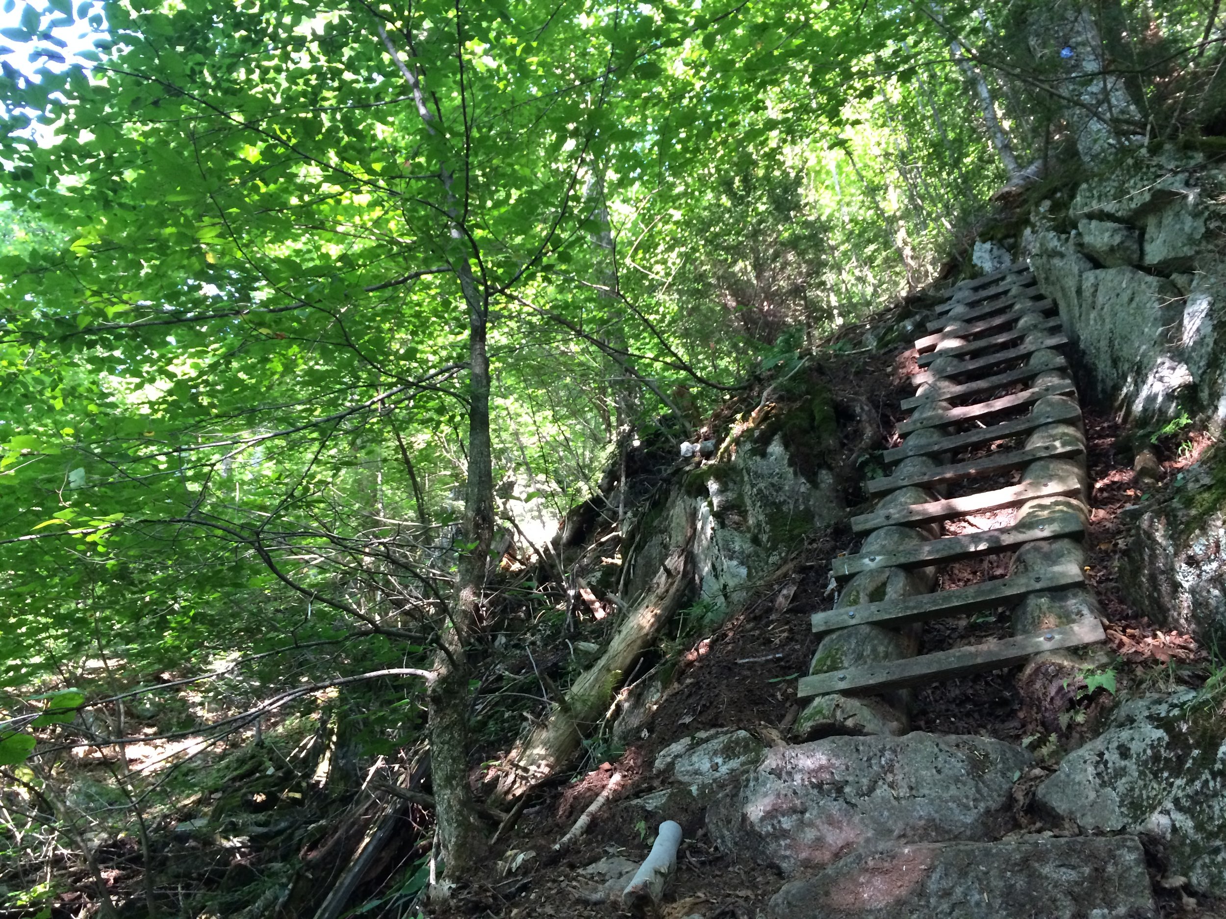 One of many ladders for you to climb and enjoy!