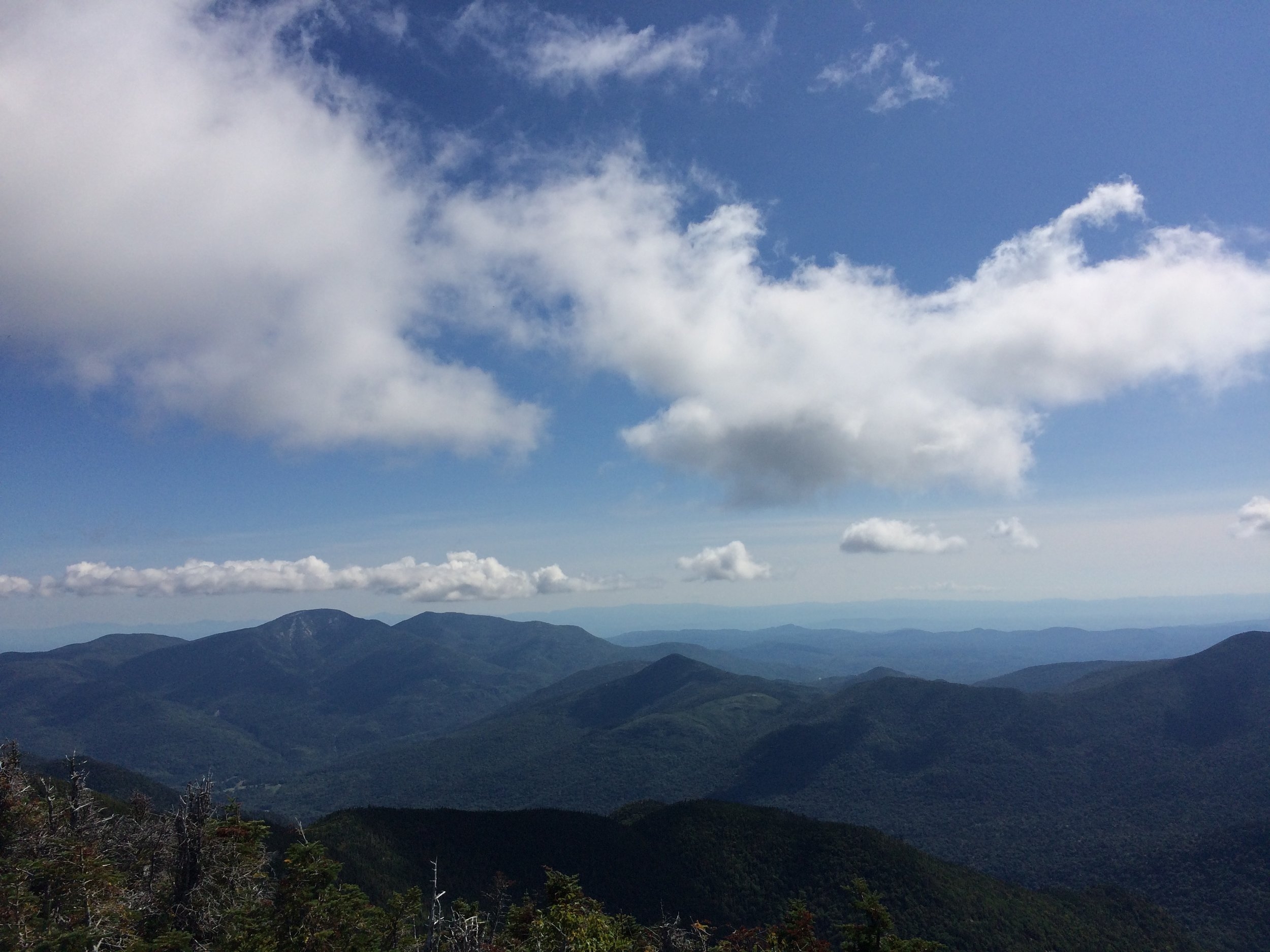 More views on Gothics - gorgeous!