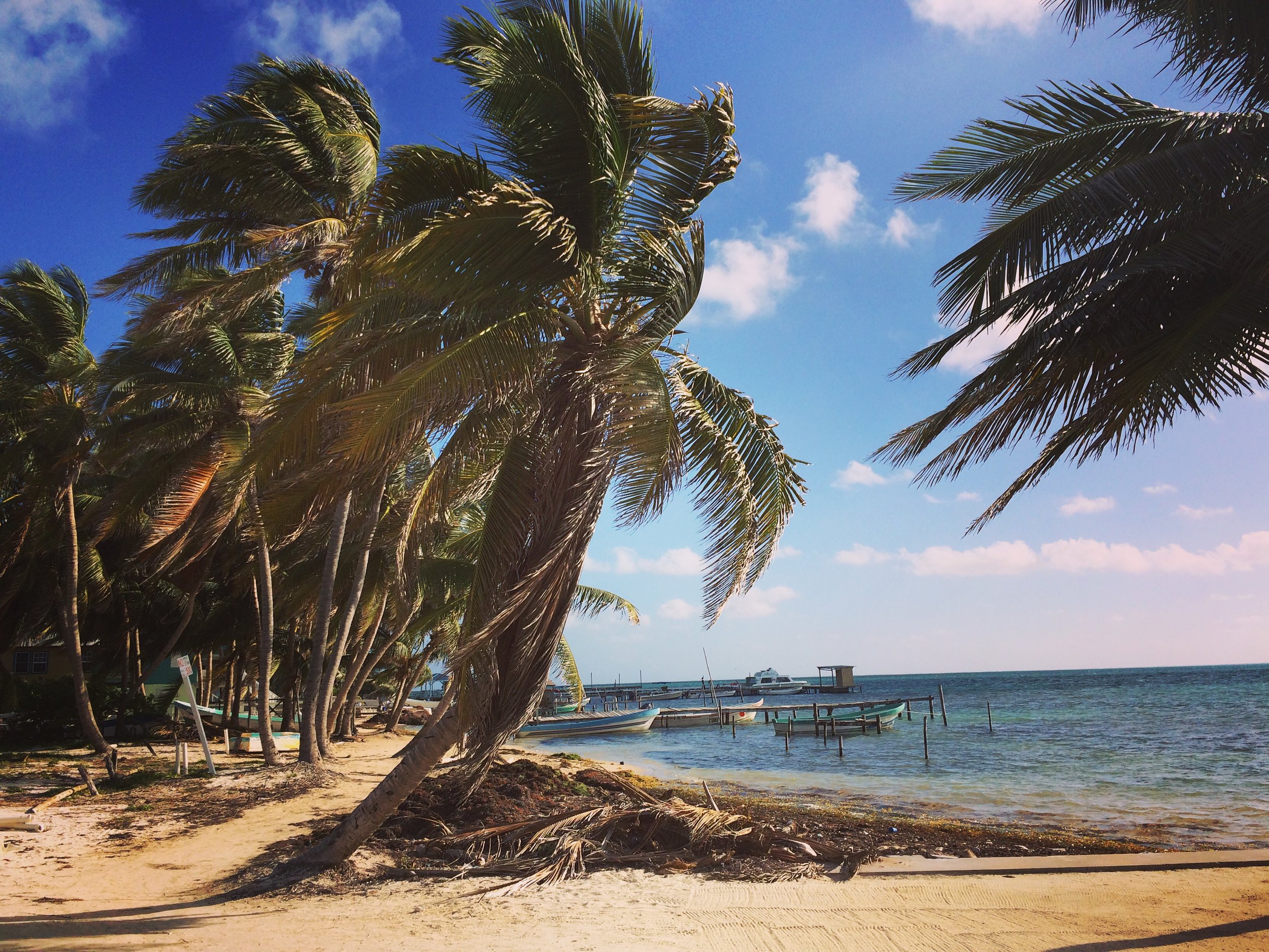 A glimpse of the shores of Caye Caulker - definitely a windy island!