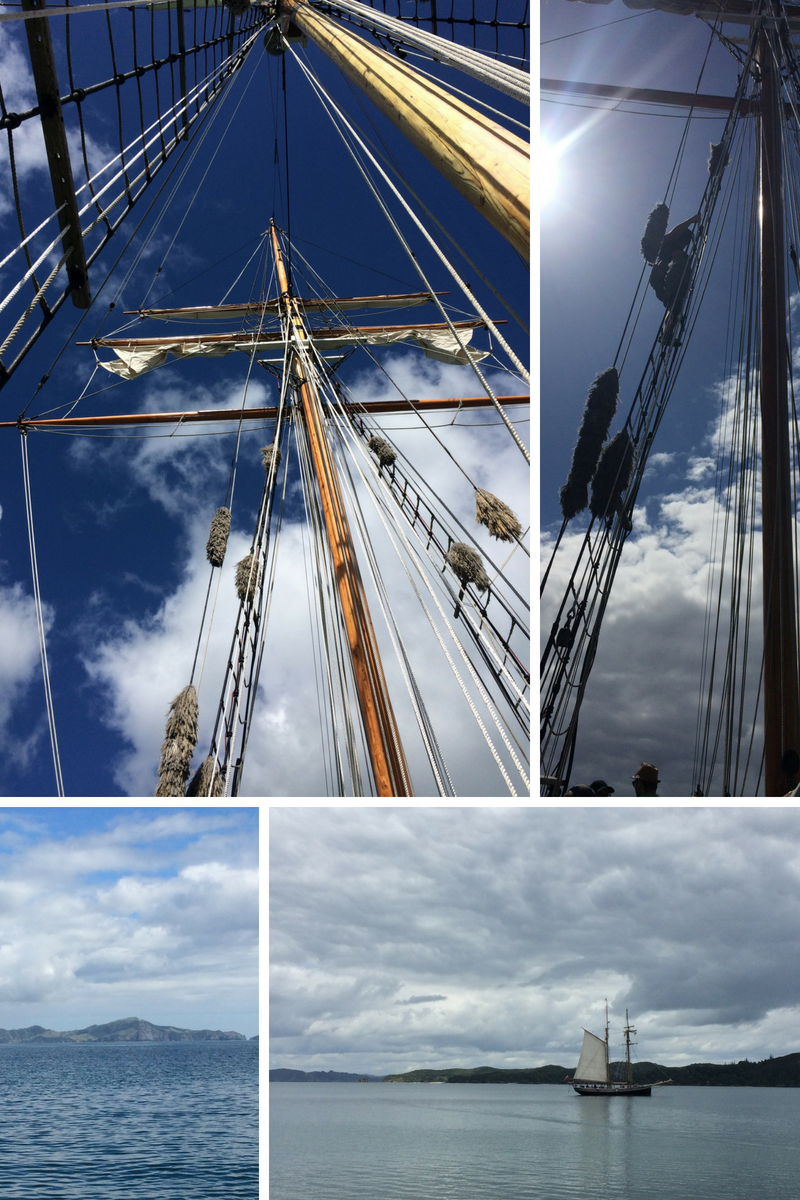 Lovely day on the Tucker Thompson tall ship, Bay of Islands