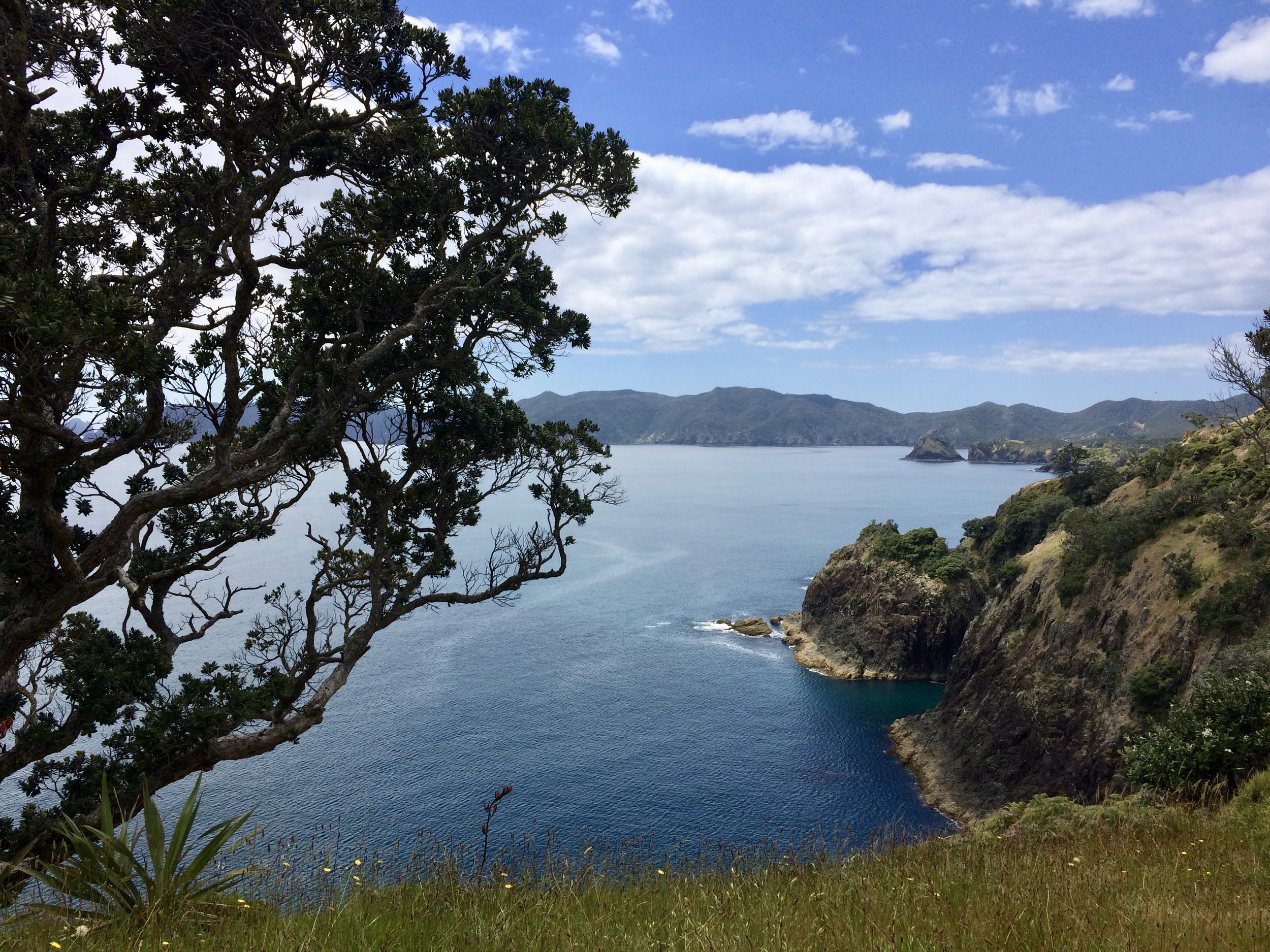 Short hike to the lookout point on Paradise Island, Bay of Islands.