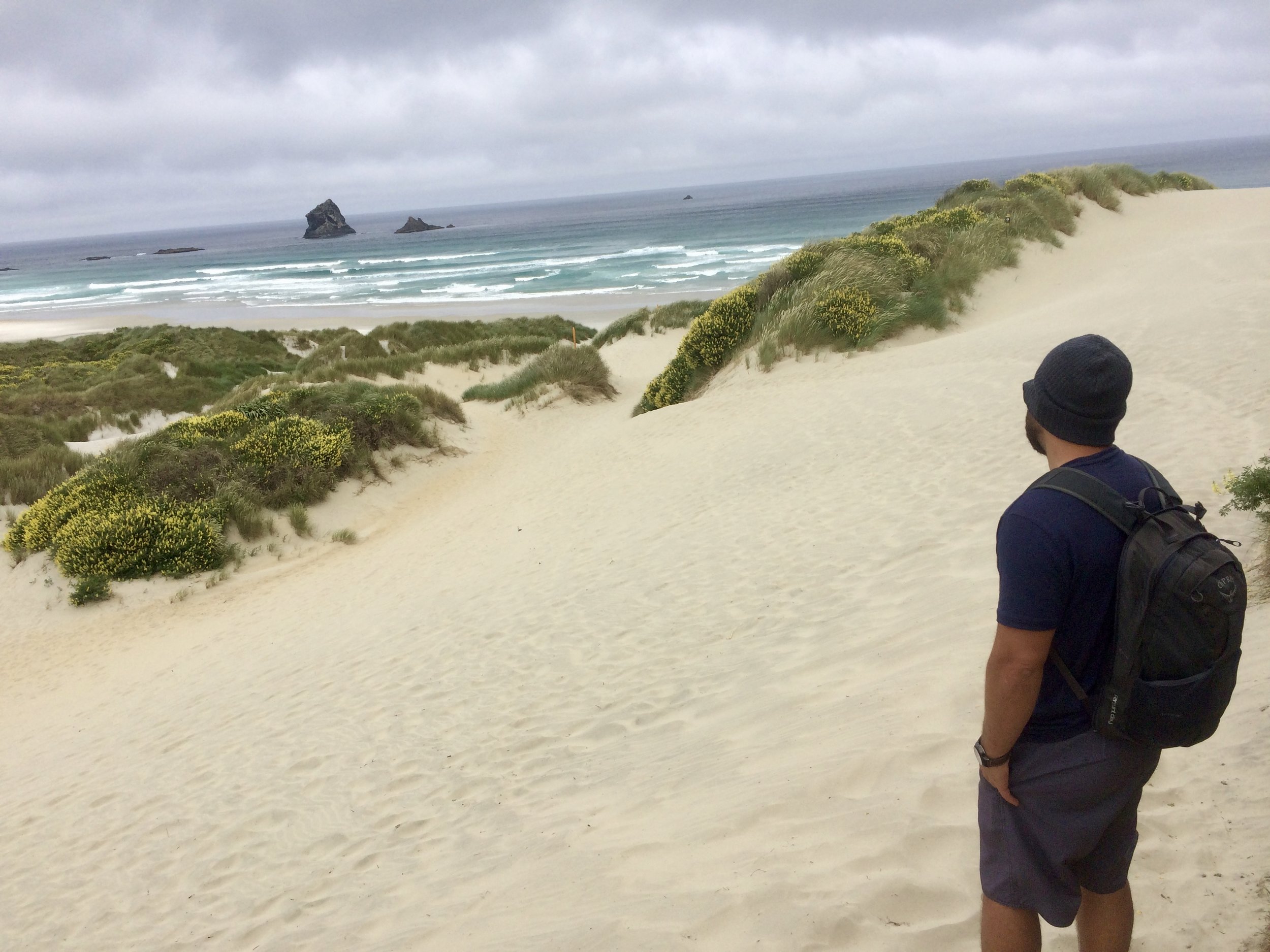 Sandyfly Beach near Dunedin