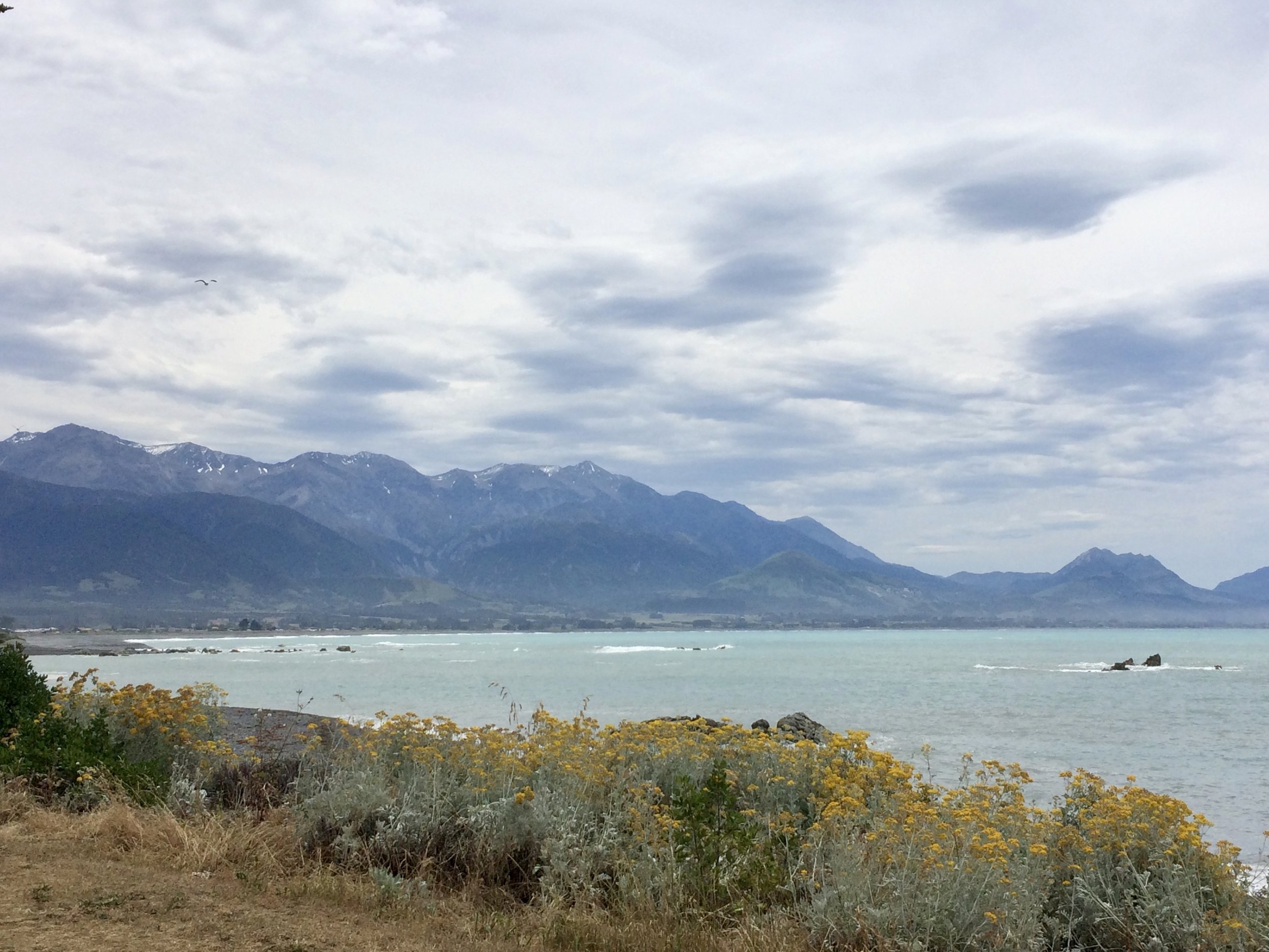 The mist and clouds cleared just enough to glimpse the mountains. Kaikoura; where the mountains meet the ocean.