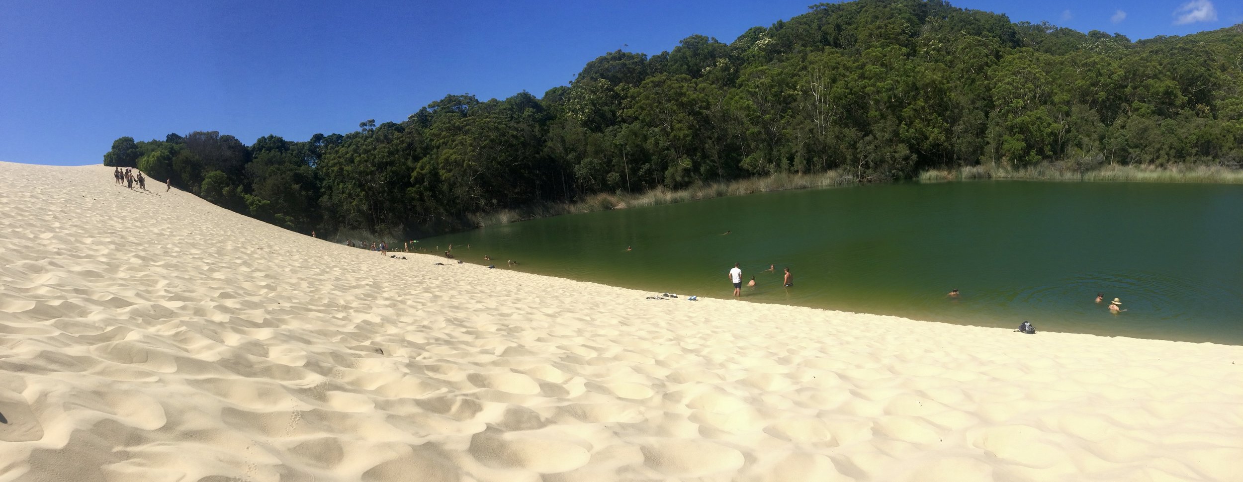 Lake Wabby and the great big blistering hot sand dune!