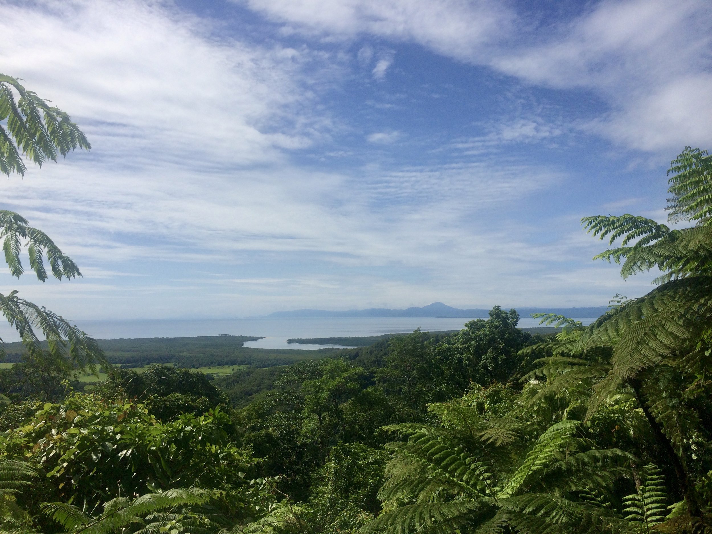 Lookout point from the Daintree.