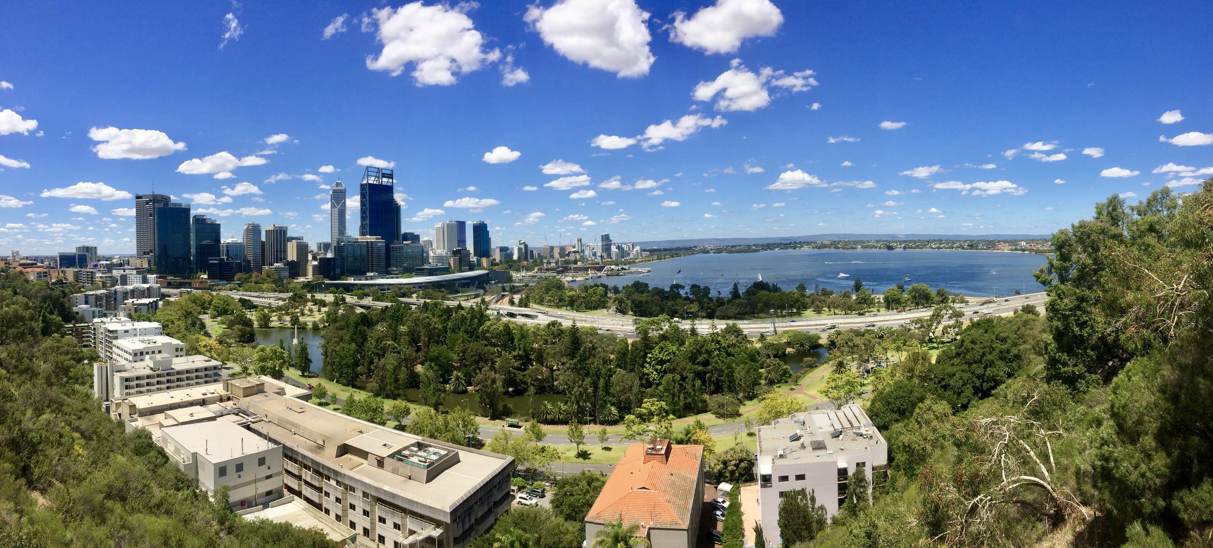 Wandering Kings Park in Perth.