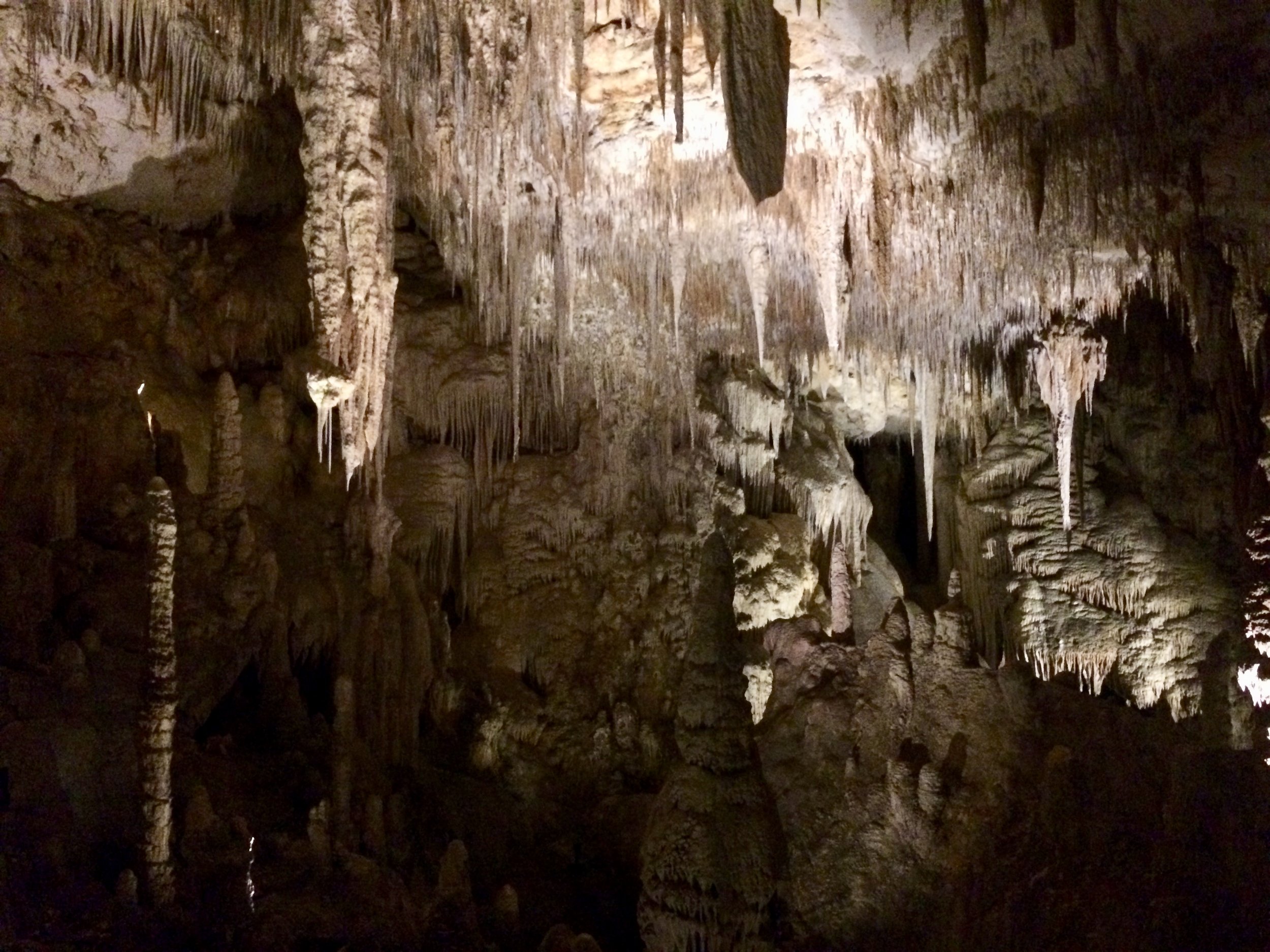 Checking out Mammoth Cave - one of several in the area to explore!