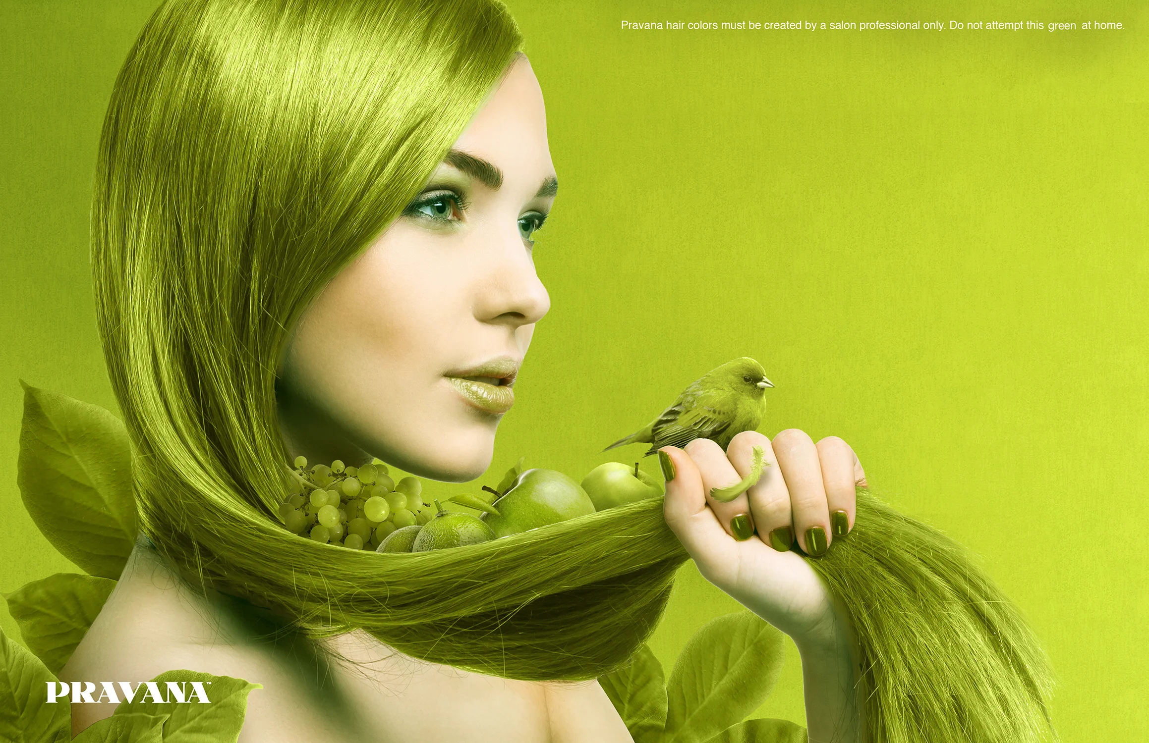 Pravana Hair Color