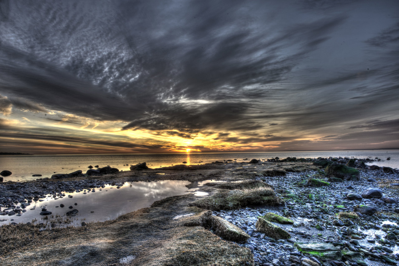 8639 Low tide Sunrise Greenwich Point