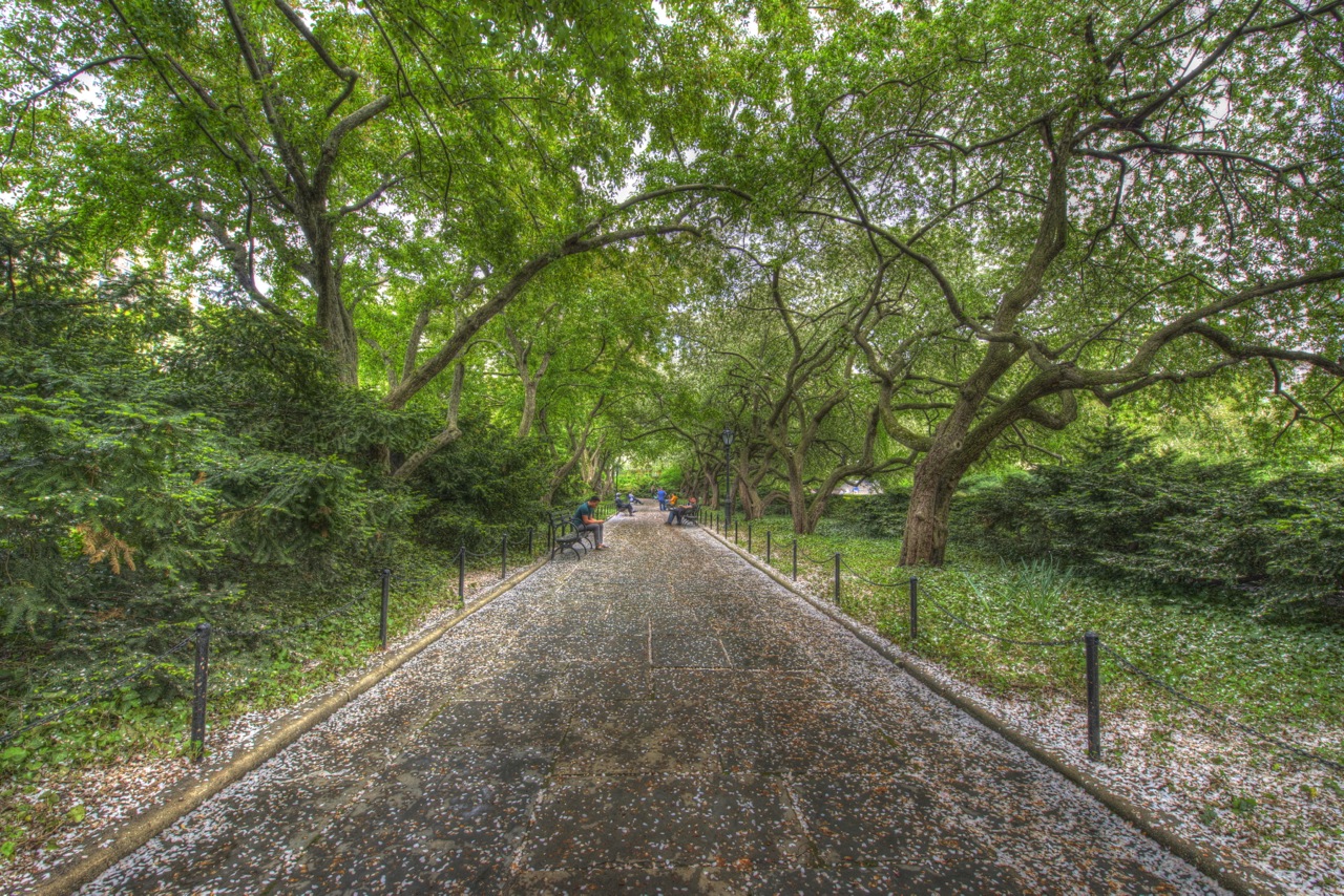 3303 Central Park NYC