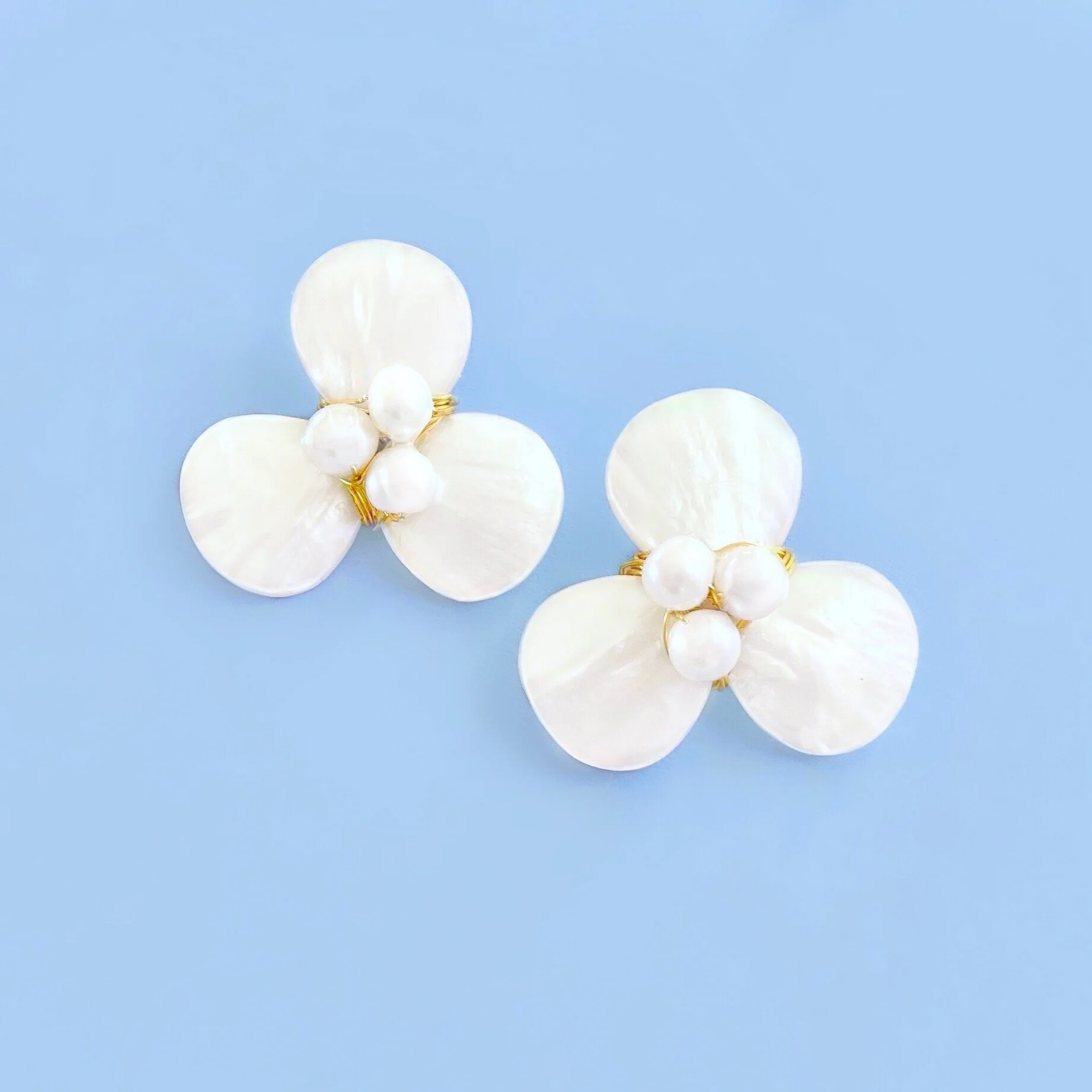 F653CFD6-74E6-44B9-B841-BFF216B7DB90