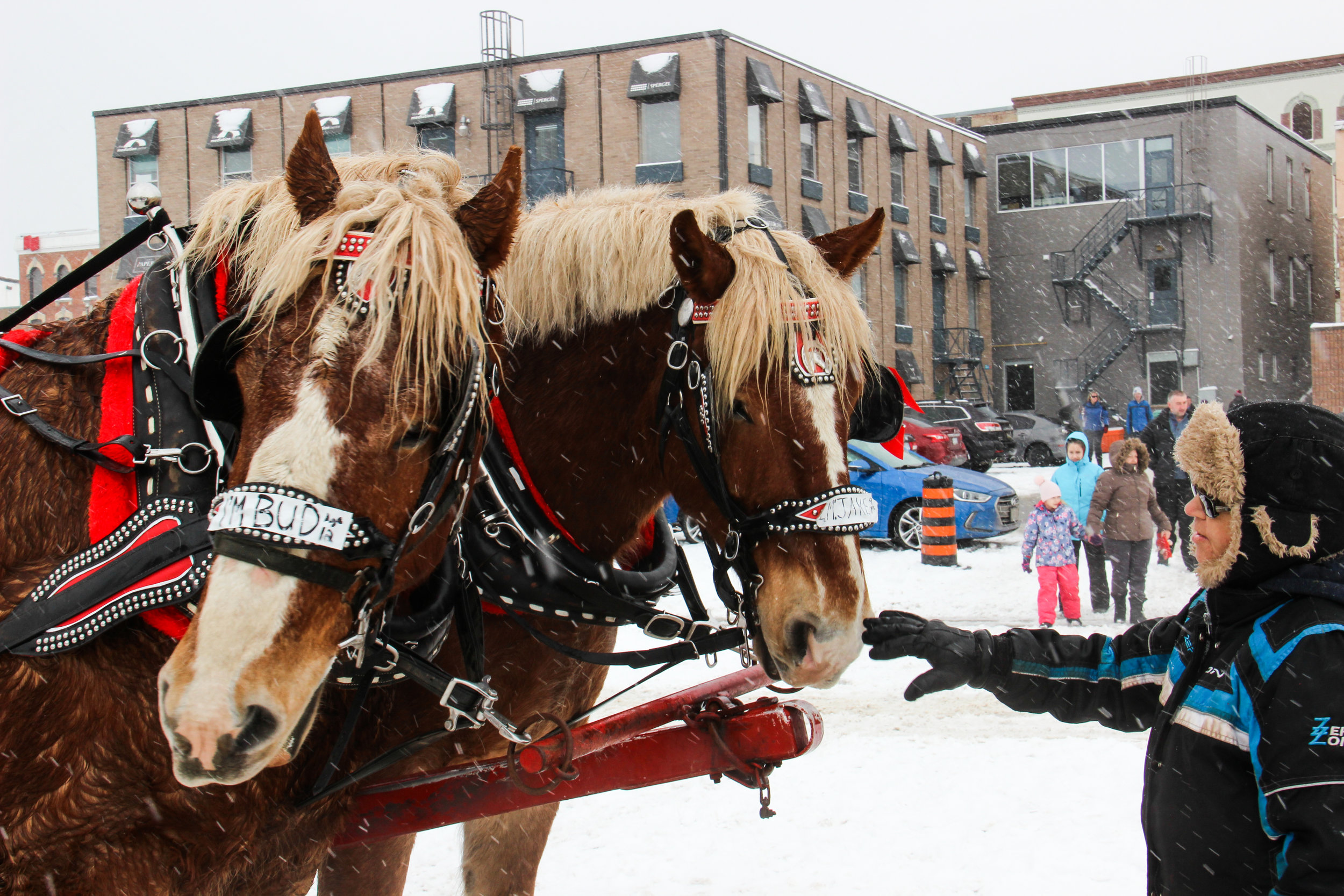 Barrie Winterfest 2018