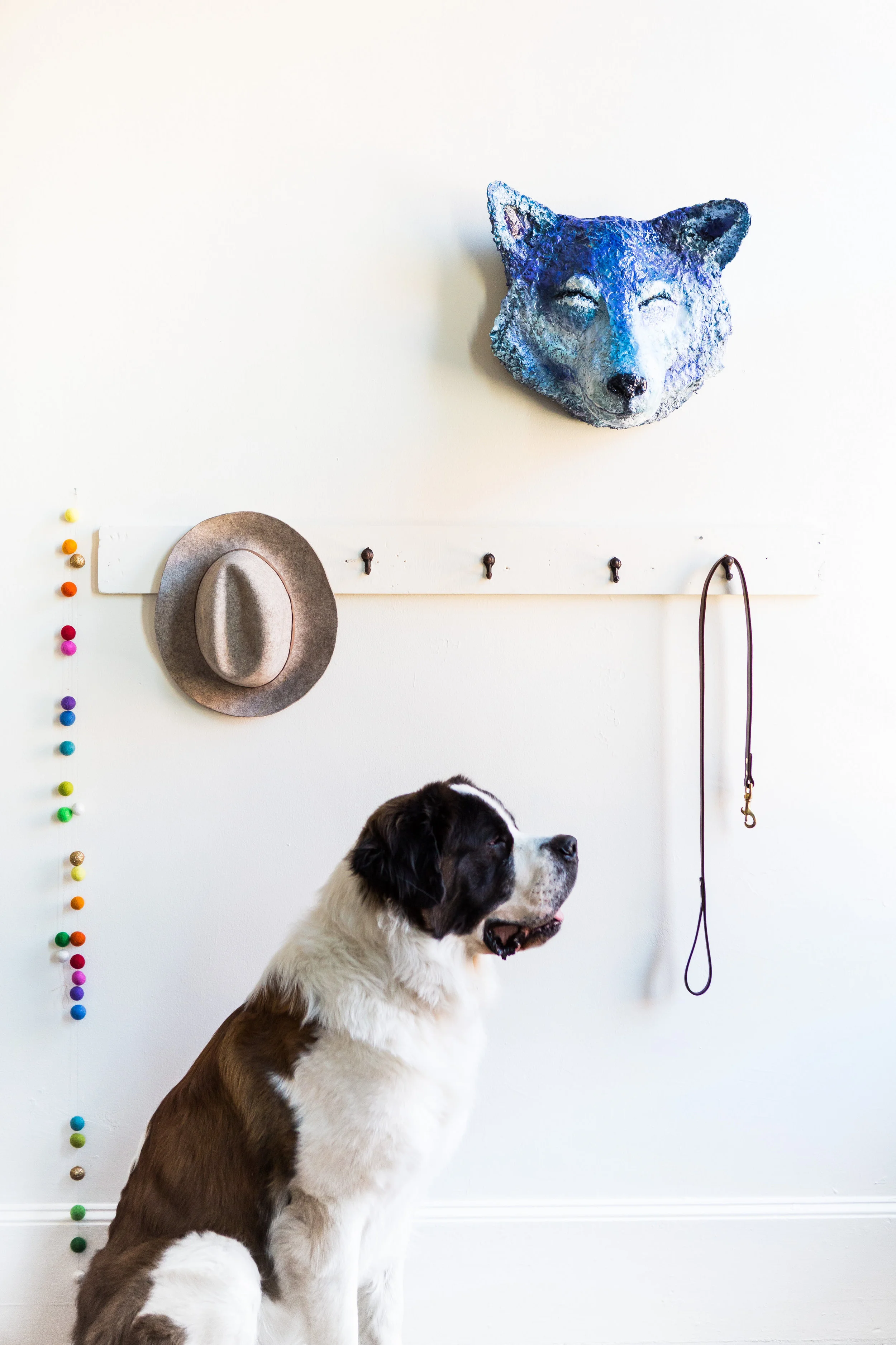 Wolf Mama with Jo's adopted buddy Bodi -- all Photography by Joanna Chattman