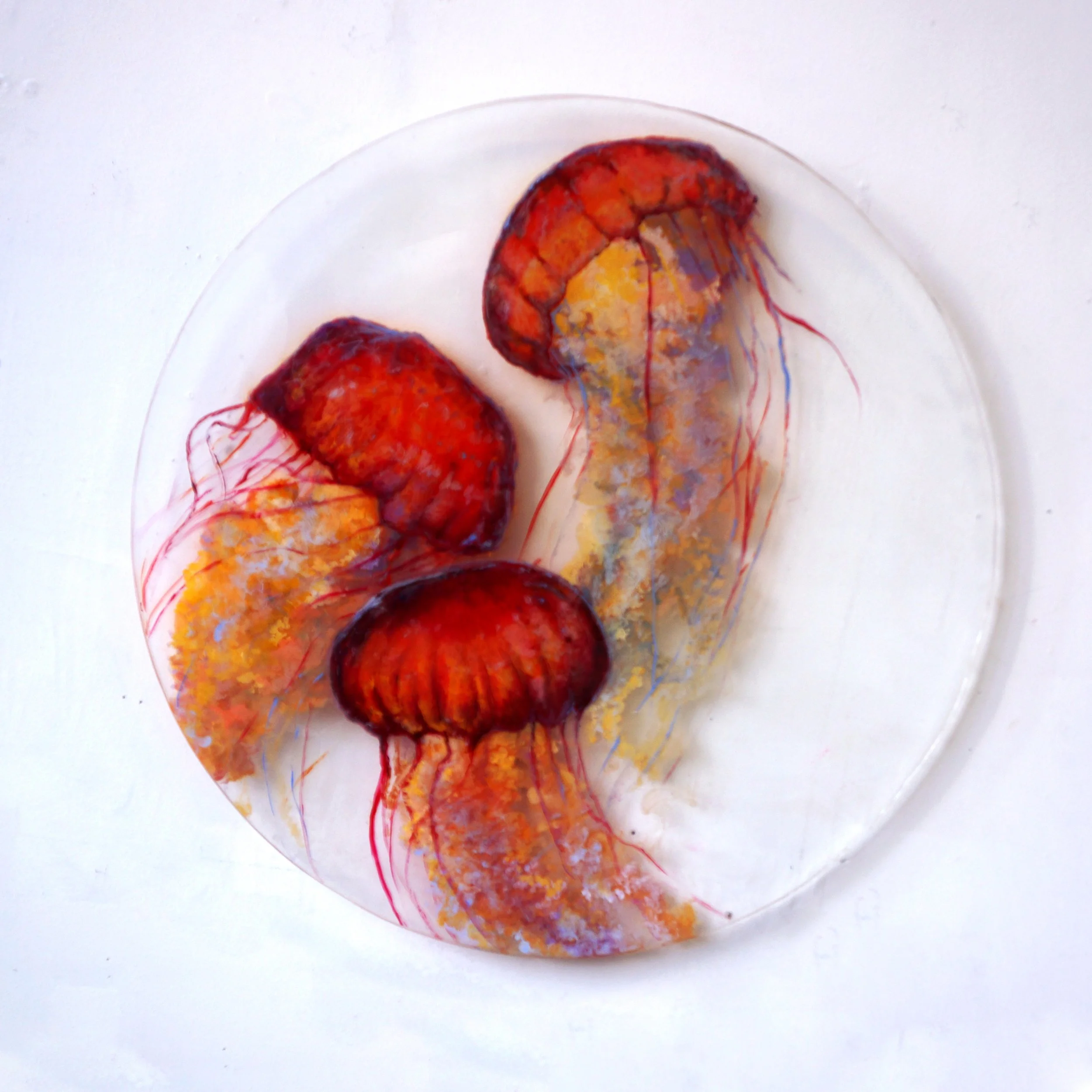 Realistic jellyfish with orange bell and long tentacles on clear glass plate