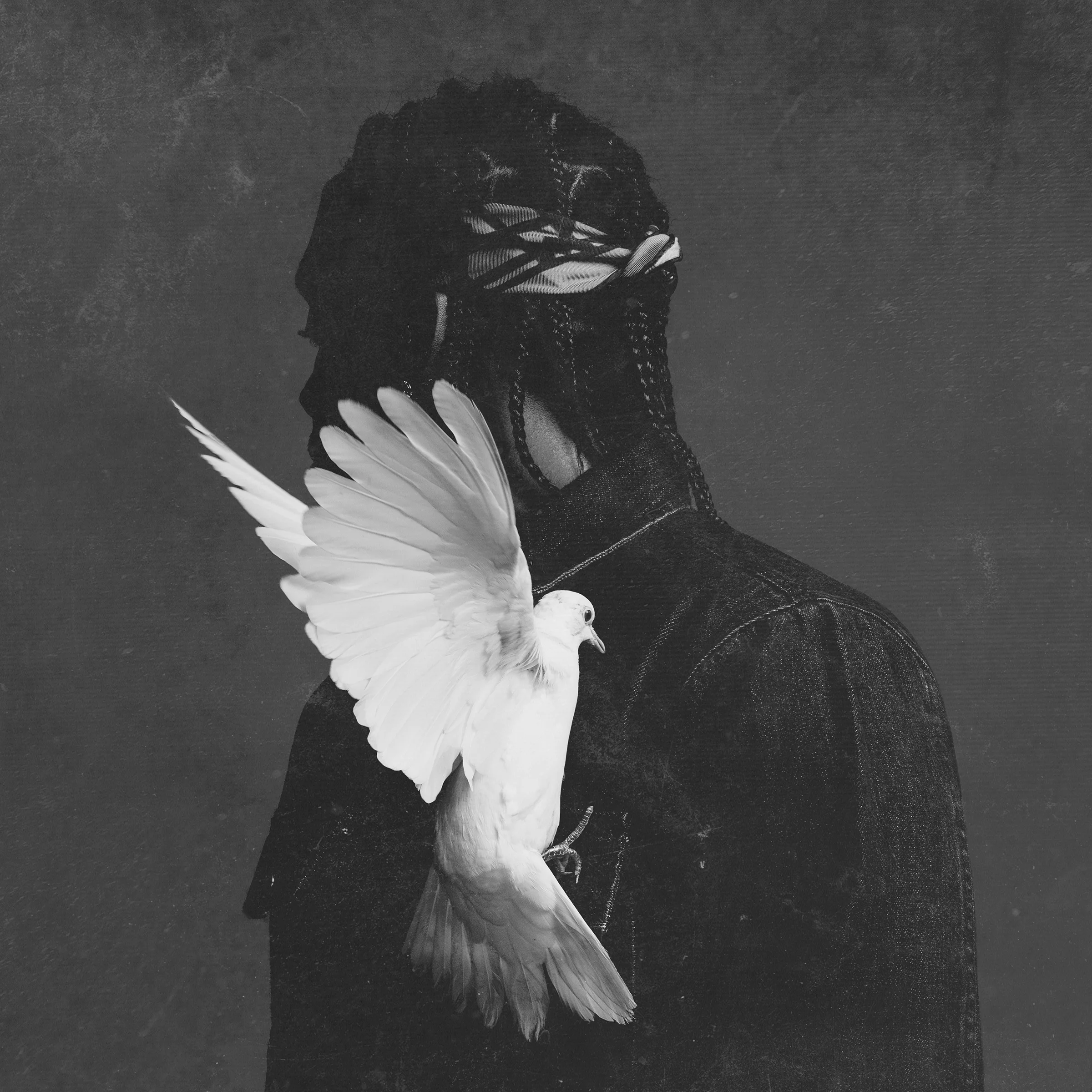 King Push—Darkest Before the Dawn: The Prelude by DONDA
